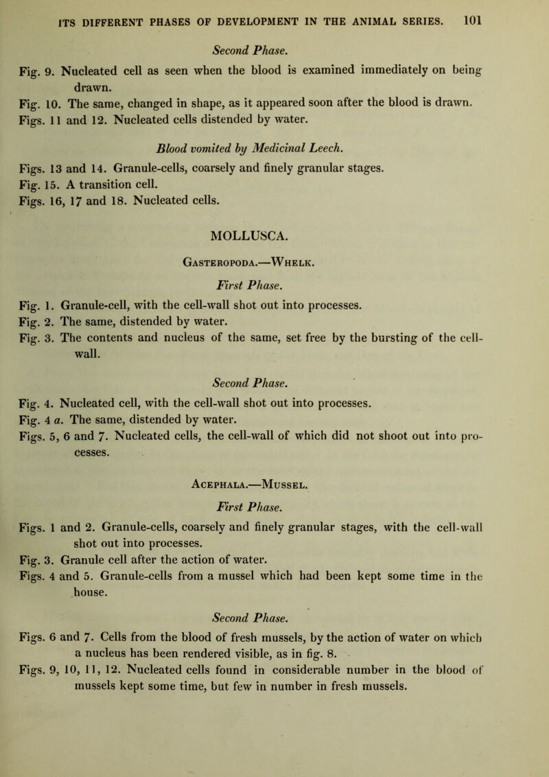 Second Phase. Fig. 9. Nucleated cell as seen when the blood is examined immediately on being drawn. Fig. 10. The same, changed in shape, as it appeared soon after the blood is drawn. Figs. 11 and 12. Nucleated cells distended by water. Blood vomited hy Medicinal Leech. Figs. 13 and 14. Granule-cells, coarsely and finely granular stages. Fig. 15. A transition cell. Figs. 16, 17 and 18. Nucleated cells. MOLLUSCA. Gasteropoda.—Whelk. First Phase. Fig. 1. Granule-cell, with the cell-wall shot out into processes. Fig. 2. The same, distended by water. Fig. 3. The contents and nucleus of the same, set free by the bursting of the cell- wall. Second Phase. Fig. 4. Nucleated cell, with the cell-wall shot out into processes. Fig. 4 a. The same, distended by water. Figs. 5, 6 and 7- Nucleated cells, the cell-wall of which did not shoot out into pro- cesses. Acephala.—Mussel. First Phase. Figs. 1 and 2. Granule-cells, coarsely and finely granular stages, with the cell-wall shot out into processes. Fig. 3. Granule cell after the action of water. Figs. 4 and 5. Granule-cells from a mussel which had been kept some time in the house. Second Phase. Figs. 6 and 7* Cells from the blood of fresh mussels, by the action of water on which a nucleus has been rendered visible, as in fig. 8. Figs. 9, 10, 11, 12. Nucleated cells found in considerable number in the blood of mussels kept some time, but few in number in fresh mussels.