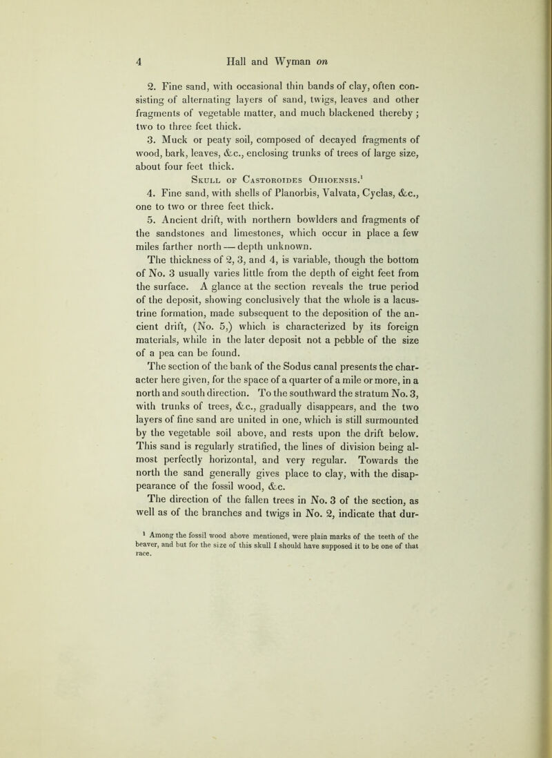 2. Fine sand, with occasional thin bands of clay, often con- sisting of alternating layers of sand, twigs, leaves and other fragments of vegetable matter, and much blackened thereby ; two to three feet thick. 3. Muck or peaty soil, composed of decayed fragments of wood, bark, leaves, &c., enclosing trunks of trees of large size, about four feet thick. Skull of Castoroides Ohiof.nsis.* 4. Fine sand, with shells of Planorbis, Valvata, Cyclas, &,c., one to two or three feet thick. 5. Ancient drift, w'ith northern bowlders and fragments of the sandstones and limestones, which occur in place a few miles farther north — depth unknown. The thickness of 2, 3, and 4, is variable, though the bottom of No. 3 usually varies little from the depth of eight feet from the surface. A glance at the section reveals the true period of the deposit, showing conclusively that the whole is a lacus- trine formation, made subsequent to the deposition of the an- cient drift, (No. 5,) which is characterized by its foreign materials, while in the later deposit not a pebble of the size of a pea can be found. The section of the bank of the Sodus canal presents the char- acter here given, for the space of a quarter of a mile or more, in a north and south direction. To the southward the stratum No. 3, with trunks of trees, &,c., gradually disappears, and the two layers of fine sand are united in one, which is still surmounted by the vegetable soil above, and rests upon the drift below. This sand is regularly stratified, the lines of division being al- most perfectly horizontal, and very regular. Towards the north the sand generally gives place to clay, with the disap- pearance of the fossil wood, &c. The direction of the fallen trees in No. 3 of the section, as well as of the branches and twigs in No. 2, indicate that dur- * Among the fossil wood above mentioned, were plain marks of the teeth of the beaver, and but for the size of this skull I should have supposed it to be one of that race.