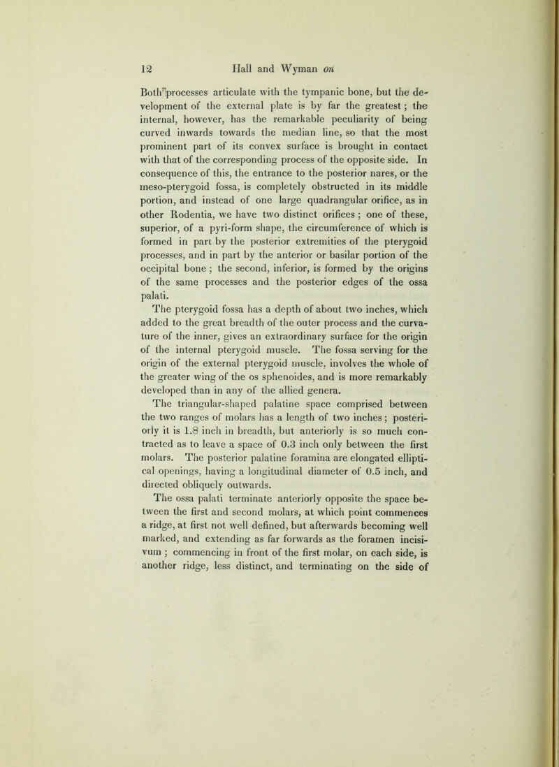 Both^processes articulate with the tympanic bone, but the de- velopment of the external plate is by far the greatest; the internal, however, has the remarkable peculiarity of being curved inwards towards the median line, so that the most prominent part of its convex surface is brought in contact with that of the corresponding process of the opposite side. In consequence of this, the entrance to the posterior nares, or the meso-pterygoid fossa, is completely obstructed in its middle portion, and instead of one large quadrangular orifice, as in other Rodentia, we have two distinct orifices ; one of these, superior, of a pyri-form shape, the circumference of which is formed in pan by the posterior extremities of the pterygoid processes, and in part by the anterior or basilar portion of the occipital bone ; the second, inferior, is formed by the origins of the same processes and the posterior edges of the ossa palati. The pterygoid fossa has a depth of about two inches, which added to the great breadth of the outer process and the curva- ture of the inner, gives an extraordinary surface for the origin of the internal pterygoid muscle. The fossa serving for the origin of the external pterygoid muscle, involves the whole of the greater wing of the os sphenoides, and is more remarkably developed than in any of the allied genera. The triangular-shaped palatine space comprised between the two ranges of molars has a length of two inches; posteri- orly it is 1.8 inch in breadth, but anteriorly is so much con- tracted as to leave a space of 0.3 inch only between the first molars. The posterior palatine foramina are elongated ellipti- cal openings, having a longitudinal diameter of 0.5 inch, and directed obliquely outwards. The ossa palati terminate anteriorly opposite the space be- tween the first and second molars, at which point commences a ridge, at first not well defined, but afterwards becoming well marked, and extending as far forwards as the foramen incisi- vum ; commencing in front of the first molar, on each side, is another ridge, less distinct, and terminating on the side of