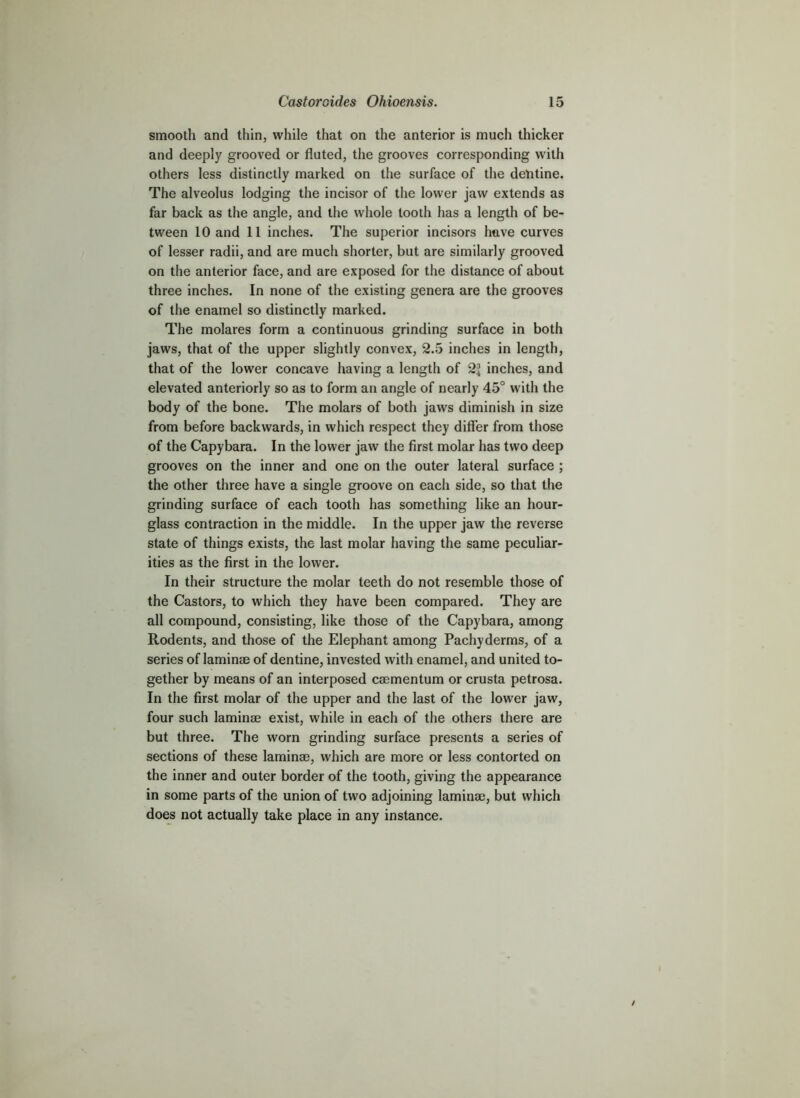 smooth and thin, while that on the anterior is much thicker and deeply grooved or fluted, the grooves corresponding with others less distinctly marked on the surface of the dentine. The alveolus lodging the incisor of the lower jaw extends as far back as the angle, and the whole tooth has a length of be- tween 10 and 11 inches. The superior incisors have curves of lesser radii, and are much shorter, but are similarly grooved on the anterior face, and are exposed for the distance of about three inches. In none of the existing genera are the grooves of the enamel so distinctly marked. The molares form a continuous grinding surface in both jaws, that of the upper slightly convex, 2.5 inches in length, that of the lower concave having a length of 21 inches, and elevated anteriorly so as to form an angle of nearly 45° with the body of the bone. The molars of both jaws diminish in size from before backwards, in which respect they differ from those of the Capybara. In the lower jaw the first molar has two deep grooves on the inner and one on the outer lateral surface ; the other three have a single groove on each side, so that the grinding surface of each tooth has something like an hour- glass contraction in the middle. In the upper jaw the reverse state of things exists, the last molar having the same peculiar- ities as the first in the lower. In their structure the molar teeth do not resemble those of the Castors, to which they have been compared. They are all compound, consisting, like those of the Capybara, among Rodents, and those of the Elephant among Pachyderms, of a series of laminm of dentine, invested with enamel, and united to- gether by means of an interposed csementum or crusta petrosa. In the first molar of the upper and the last of the lower jaw, four such laminae exist, while in each of the others there are but three. The worn grinding surface presents a series of sections of these laminae, which are more or less contorted on the inner and outer border of the tooth, giving the appearance in some parts of the union of two adjoining laminae, but which does not actually take place in any instance.