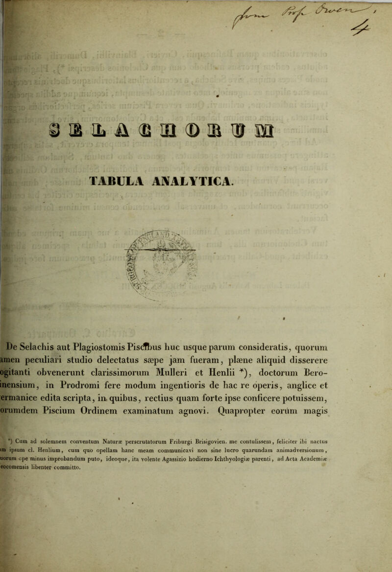 $ De Selachis aut Plagiostomis Pisctfbus huc usque parum consideratis, quorum amen peculiari studio delectatus saepe jam fueram, plsene aliquid disserere ogitanti obvenerunt clarissimorum Mulieri et Henlii *), doctorum Bero- inensium, in Prodromi fere modum ingentioris de hac re operis, anglice et ermanice edita scripta, in quibus, rectius quam forte ipse conficere potuissem, orumdem Piscium Ordinem examinatum agnovi. Quapropter eoriim magis *) Cum ad solemnem conventum Naturae perscrutatorum Friburgi Brisigovien. me contulissem, feliciter ibi nactus ira ipsum cl. Henlium, cum quo opellam hanc meam communicavi non sine lucro quarundam animadversionum, uorum cpe minus improbandum puto, ideoque, ita Yolente Agassizio hodierno Ichthyologiae parenti, ad Acta Academia- eocomensis libenter committo.