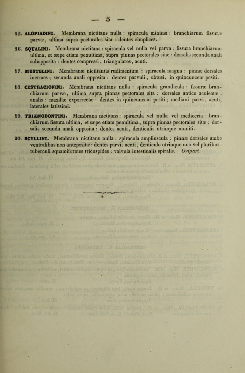 13. ALOPIADINI. Membrana nictitans nulla : spiracula minima : branchiarum fissurae parvae, ultima supra pectorales sita : dentes simplices. 16. SQUALINI. Membrana nictitans : spiracula vel nulla vel parva : fissura branchiarum ultima, et saepe etiam penultima, supra pinnas pectorales sitae : dorsalis secunda anali subopposita : dentes compressi, triangulares, acuti. 17. MUSTELINI. Membranae nictitantis rudimentum : spiracula magna : pinnae dorsales inermes; secunda anali opposita : dentes parvuli, obtusi, in quincuncem positi. 18. CESTRACIONINI. Membrana nictitans nulla : spiracula grandicula : fissurae bran- chiarum parvae, ultima supra pinnas pectorales sita : dorsales antice aculeatae : analis : maxillae exporrectae : dentes in quincuncem positi; mediani parvi, acuti, laterales latissimi. 19. TRIA3NODONTINI • Membrana nictitans : spiracula vel nulla vel mediocria: bran- chiarum fissura ultima, et saepe etiam penultima, supra pinnas pectorales sitae : dor- salis secunda anali opposita: dentes acuti, denticulis utrinque muniti. 20. SCYLLINI. Membrana nictitans nulla : spiracula ampliuscula : pinnae dorsales ambo ventralibus non antepositae : dentes parvi, acuti, denticulo utrinque uno vel pluribus: tuberculi squamiformes tricuspides : valvula intestinalis spiralis. Ovipari. ♦