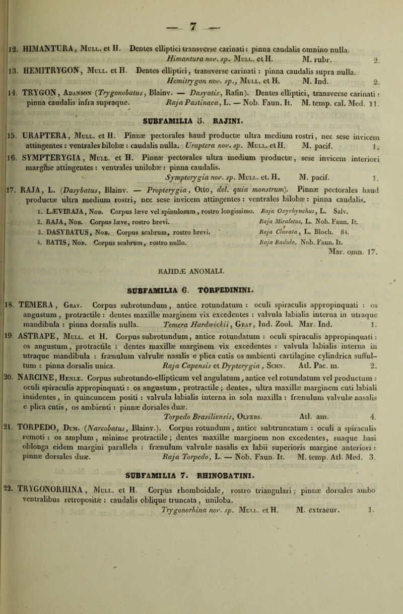 12. HIMANTURA, Mull. et H. Dentes elliptici transverse carinati: pinna caudalis omnino nulla. Himantura nov. sp. Mull. et H. M. rubi . 2. 13. HEMITRYGON, Mull. et H. Dentes elliptici, transverse carinati: pinna caudalis supra nulla. Hemitrygon nov. sp., Mull. et H. M. Ind. 2. 14. TRYGON, Adanson (Trygonobatus, Blainv. — Dasyatis, Rafin). Dentes elliptici, transverse carinati: pinna caudalis infra supraque. Raja Pastinaca, h. — Nob. Faun.lt. M. temp. cal. Med. 11. SUBFAMILIA 5. RAJINI. 15. URAPTERA, Mull. et H. Pinnae pectorales haud productae ultra medium rostri, nec sese invicem attingentes : ventrales bilobae : caudalis nulla. Uraptcra nov. sp. Mull. et II. M. pacif. 1. 16. SYMPTERYGIA, Mull. et H. Pinnae pectorales ultra medium productae, sese invicem interiori margfne attingentes : ventrales unilobae: pinna caudalis. Sympterygia nov. sp. Mull. et. II. M. pacif. 1. 17. RAJA, L. (Dasybalus, Blainv. — Proptcrygia, Otto, dei. quia monstrum). Pinnae pectorales haud productae ultra medium rostri, nec sese invicem attingentes: ventrales bilobae: pinna caudalis. 1. L-iEVIRAJA, Nob. Corpus laeve vel spinulosum , rostro longissimo. Raja Oxyrhynchus, L. Salv. 2. RAJA, Nob. Corpus Ice ve, rostro brevi. Raja Miraletus, L. Nob.Faun.lt. 3. DASYBATUS, Nob. Corpus scabrum, rostro brevi. ' Raja Clavata, L. Bloch. 81. 1. BATIS, Nob. Corpus scabrum, rostro nullo. Raja Radula. Nob.Faun.lt. Mar. omn. 17. RAJID2E ANOMALI. SUBFAMILIA 6. TORPEDININI. 13. TEMERA, Gray. Corpus subrotundum, antice rotundatum: oculi spiraculis appropinquati : os angustum , protractile : dentes maxillae marginem vix excedentes : valvula labialis interna in utraque mandibula: pinna dorsalis nulla. Temera Hardwickii, Grav, Ind. Zool. Mar. Ind. 1. 19. ASTRAPE, Mull. et H. Corpus subrotundum, antice rotundatum: oculi spiraculis appropinquati: os angustum, protractile : dentes maxillae marginem vix excedentes : valvula labialis interna in utraque mandibula : fraenulum valvulae nasalis e plica cutis os ambienti cartilagine cylindrica sufful- tum : pinna dorsalis unica. Raja Capensis et Dypterygia , Schn. Ati. Pac. m. 2. 20. NARCINE, Henle. Corpus subrotundo-ellipticum vel angulatum, antice vel rotundatum vel productum : oculi spiraculis appropinquati: os angustum, protractile ; dentes, ultra maxillae marginem cuti labiali insidentes, in quincuncem positi : valvula labialis interna in sola maxilla : fraenulum valvulae nasalis e plica cutis, os ambienti: pinnae dorsales duae. Torpedo Brasiliensis, Olfers. Ati. am. 4. 21. TORPEDO, Dum. (Narcobatus, Blainv.). Corpus rotundum, antice subtruncatum : oculi a spiraculis remoti: os amplum, minime protractile; dentes maxillae marginem non excedentes, suaque basi oblonga eidem margini parallela -. fraenulum valvulae nasalis ex labii superioris margine anteriori: pinnae dorsales duae. Raja Torpedo, L. — Nob. Faun. It. M. temp. Ati. Med. 3. SUBFAMILIA 7. RHINOBATINI. 122. TRYGONORHINA , Mull. et H. Corpus rhomboidale, rostro triangulari; pinnae dorsales ambo ventralibus retropositae : caudalis oblique truncata , uniloba. Trygonorliina nov. sp. Mull. et H. J M. extraeur. 1.