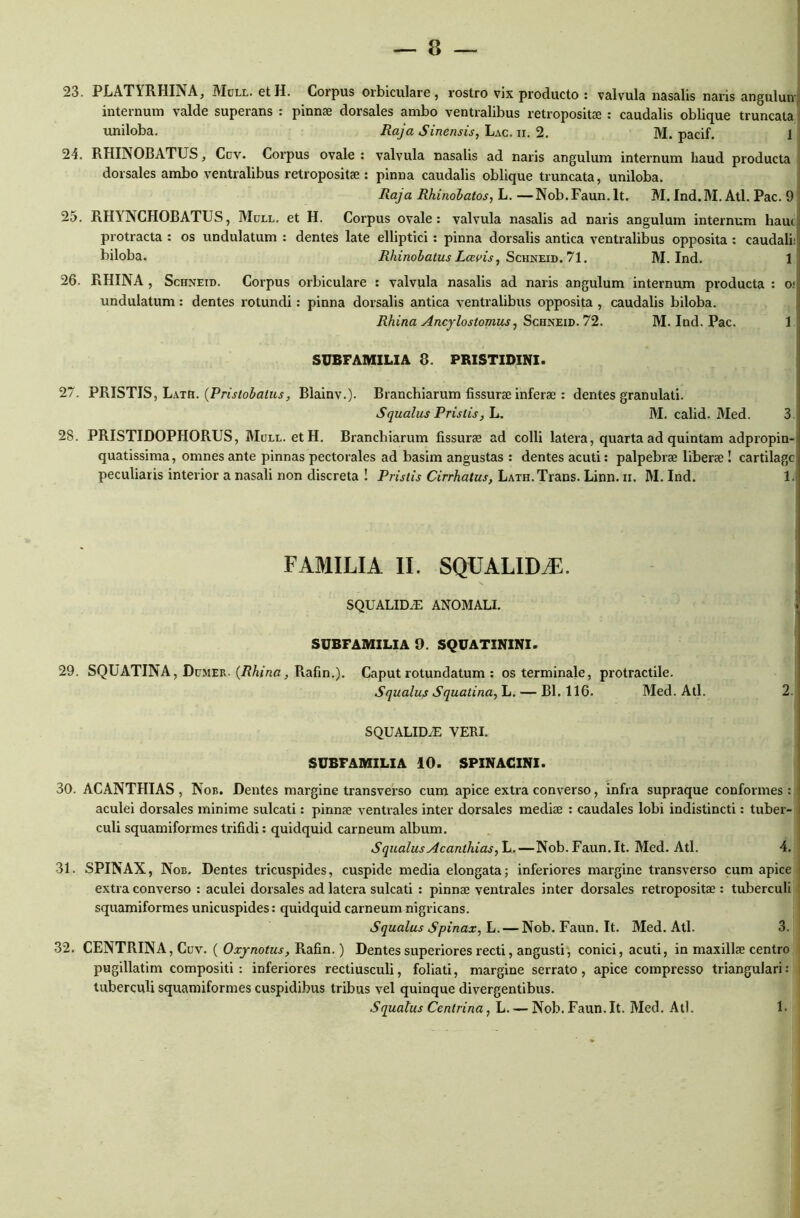 23. PLATYRHINA, IVIull. et H. Corpus orbiculare, rostro vix producto : valvula nasalis naris anguluiv internum valde superans : pinnae dorsales ambo ventralibus retropositae : caudalis oblique truncata uniloba. Raja Sinensis, Lac. ii. 2. M. pacif. 1 24. RHINOBATUS, Cdv. Corpus ovale : valvula nasalis ad naris angulum internum haud producta dorsales ambo ventralibus retropositse : pinna caudalis oblique truncata, uniloba. Raja Rhinobatos, L. —Nob.Faun.lt. M. Ind.M.Atl. Pac. 9 25. RtftNCHOBATUS, Mcll. et H. Corpus ovale: valvula nasalis ad naris angulum internum hauc protracta : os undulatum : dentes late elliptici : pinna dorsalis antica ventralibus opposita : caudali: biloba. Rliinobatus Lccvis, Schneid. 71. M. Ind. 1 26. RHINA , Schneid. Corpus orbiculare : valvula nasalis ad naris angulum internum producta : o: undulatum: dentes rotundi: pinna dorsalis antica ventralibus opposita , caudalis biloba. Rhina Ancylostomus, Schneid. 72. M. Ind. Pac. 1 SUBFAMILIA 8. PRISTIDINI. 27. PRISTIS, Lath. (Pristobatus, Blainv.). Branchiarum fissurae inferae : dentes granulati. Squalus Pristis, L. M. calid. Med. 3 28. PRISTIDOPHORUS, Mull. etH. Branchiarum fissurae ad colli latera, quarta ad quintam adpropin- quatissima, omnes ante pinnas pectorales ad basim angustas : dentes acuti: palpebrae liberae ! cartilagc peculiaris interior a nasali non discreta ! Pristis Cirrhatus, Lath.Trans. Linn. ii. M.Ind. 1. FAMILIA II. SQUALIDA. SQUALIDA ANOMALI. SUBFAMILIA 9. SQUATININI. 29. SQUATINA, Dcmer. (Rhina, Piafin.). Caput rotundatum : os terminale, protractile. Squalus Squatina, L. — Bl. 116. Med. Ati. 2. SQUALID7E VERI. SUBFAMILIA 10. SPINACINI. 30. ACANTHIAS , Nob. Dentes margine transverso cum apice extra converso, infra supraque conformes : aculei dorsales minime sulcati: pinnae ventrales inter dorsales mediae : caudales lobi indistincti: tuber- culi squamiformes trifidi: quidquid carneum album. Squalus Acanthias, L.—Nob.Faun.lt. Med. Ati. 4. 31. SPINAX, Nob. Dentes tricuspides, cuspide media elongata; inferiores margine transverso cum apice extra converso : aculei dorsales ad latera sulcati : pinnae ventrales inter dorsales retropositae: tuberculi squamiformes unicuspides: quidquid carneum nigricans. Squalus Spinax, L. — Nob.Faun.lt. Med. Ati. 3. 32. CENTRINA, Cuv. ( Oxynotus, Rafin.) Dentes superiores recti, angusti, conici, acuti, in maxillae centro pugillatim compositi: inferiores rectiusculi, foliati, margine serrato, apice compresso triangulari: tuberculi squamiformes cuspidibus tribus vel quinque divergentibus. Squatus Cenlrina, L. — Nob.Faun.lt. Med. Ati. 1.