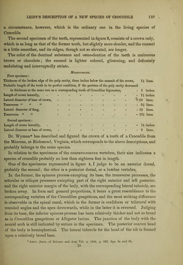 digitised image 3
