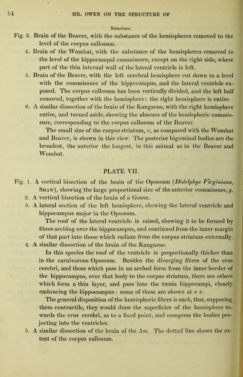 Structure. Brain of the Beaver, with the substance of the hemispheres removed to the level of the corpus callosum. Brain of the Wombat, with the substance of the hemispheres removed to the level of the hippocampal commissure, except on tbe right side, where part of the thin internal wall of the lateral ventricle is left. Brain of the Beaver, with the left cerebral hemisphere cut down to a level with the commissure of the hippocampus, and the lateral ventricle ex- posed. The corpus callosum has been vertically divided, and the left half removed, together with the hemisphere: the right hemisphere is entire. A similar dissection of the brain of the Kangaroo, with the right hemisphere entire, and turned aside, showing the absence of the hemispheric commis- sure, corresponding to the corpus callosum of the Beaver. The small size of the corpus striatum, r, as compared with the Wombat and Beaver, is shown in this view. The posterior bigeminal bodies are the broadest, the anterior the longest, in this animal as in the Beaver and Wombat. PLATE VII. Fig. 1. A vertical bisection of the brain of the Opossum (Didelphys Virginiana, Shaw), showing the large proportional size of the anterior commissure,y. 2. A vertical bisection of the brain of a Goose. 3. A lateral section of the left hemisphere, showing the lateral ventricle and hippocampus major in the Opossum. The roof of the lateral ventricle is raised, showing it to be formed by fibres arching over the hippocampus, and continued from the inner margin of that part into those which radiate from the corpus striatum externally. 4. A similar dissection of the brain of the Kangaroo. In this species the roof of the ventricle is proportionally thicker than in the carnivorous Opossum. Besides the diverging fibres of the crus cerebri, and those which pass in an arched form from the inner border of the hippocampus, over that body to the corpus striatum, there are others which form a thin layer, and pass into the tsenia hippocampi, closely embracing the hippocampus: some of these are shown at x x. The general disposition of the hemispheric fibres is such, that, supposing them contractile, they would draw the superficies of the hemisphere to- wards the crus cerebri, as to a fixed point, and compress the bodies pro- jecting into the ventricles. 5. A similar dissection of the brain of the Ass. The dotted line shows the ex- tent of the corpus callosum. Fig. 3. 4. 5. 6.