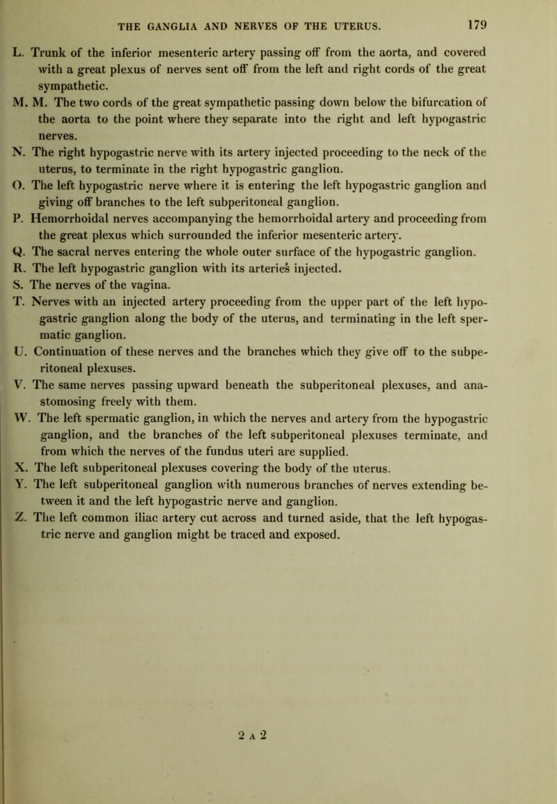 L. Trunk of the inferior mesenteric artery passing off from the aorta, and covered with a great plexus of nerves sent off from the left and right cords of the great sympathetic. M. M. The two cords of the great sympathetic passing down below the bifurcation of the aorta to the point where they separate into the right and left hypogastric nerves. N. The right hypogastric nerve with its artery injected proceeding to the neck of the uterus, to terminate in the right hypogastric ganglion. O. The left hypogastric nerve where it is entering the left hypogastric ganglion and giving off branches to the left subperitoneal ganglion. P. Hemorrhoidal nerves accompanying the hemorrhoidal artery and proceeding from the great plexus which surrounded the inferior mesenteric artery. Q. The sacral nerves entering the whole outer surface of the hypogastric ganglion. R. The left hypogastric ganglion with its arteries injected. S. The nerves of the vagina. T. Nerves with an injected artery proceeding from the upper part of the left hypo- gastric ganglion along the body of the uterus, and terminating in the left sper- Imatic ganglion. U. Continuation of these nerves and the branches which they give off to the subpe- ritoneal plexuses. V. The same nerves passing upward beneath the subperitoneal plexuses, and ana- stomosing freely with them. W. The left spermatic ganglion, in which the nerves and artery from the hypogastric ganglion, and the branches of the left subperitoneal plexuses terminate, and from which the nerves of the fundus uteri are supplied. X. The left subperitoneal plexuses covering the body of the uterus. Y. The left subperitoneal ganglion with numerous branches of nerves extending be- tween it and the left hypogastric nerve and ganglion. Z. The left common iliac artery cut across and turned aside, that the left hypogas- tric nerve and ganglion might be traced and exposed. 2 a 2