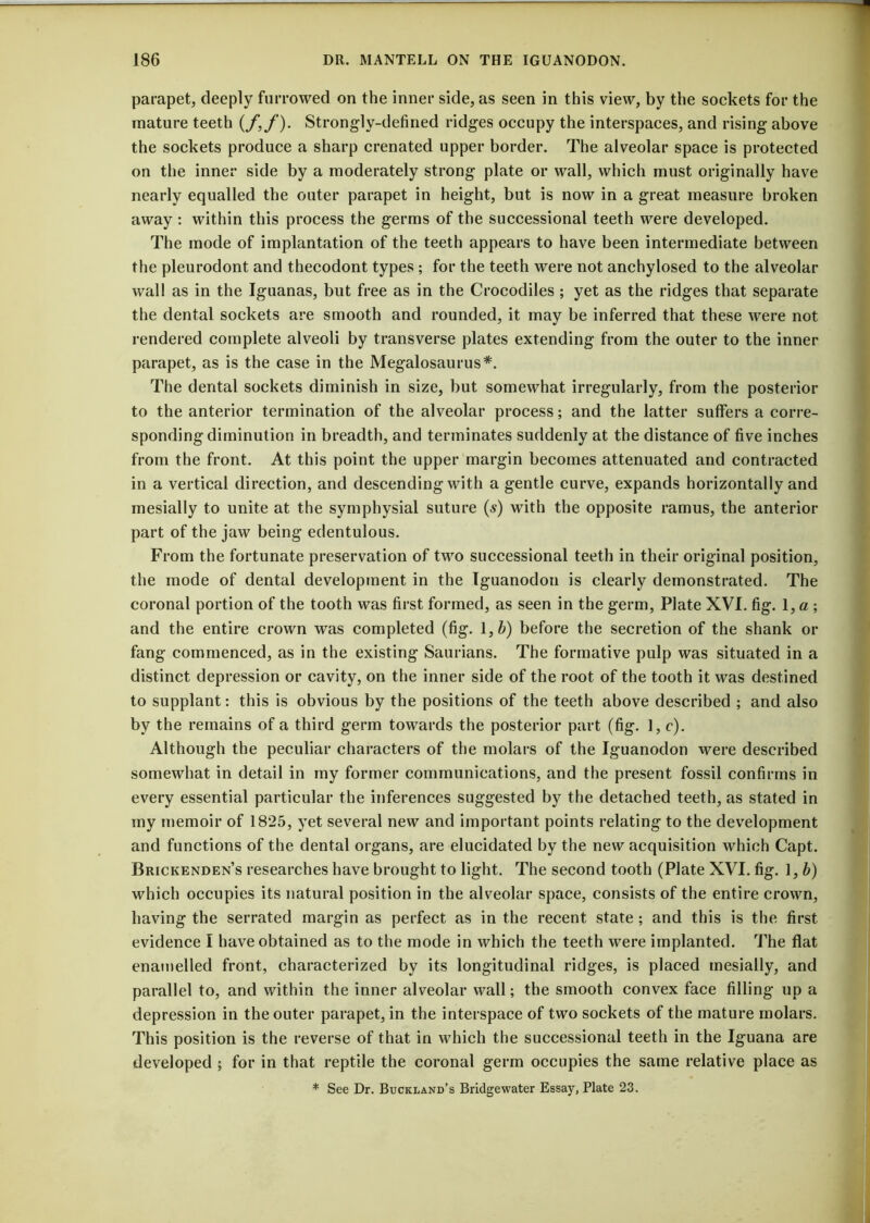 parapet, deeply furrowed on the inner side, as seen in this view, by the sockets for the mature teeth (/,/). Strongly-defined ridges occupy the interspaces, and rising above the sockets produce a sharp crenated upper border. The alveolar space is protected on the inner side by a moderately strong plate or wall, which must originally have nearly equalled the outer parapet in height, but is now in a great measure broken away: within this process the germs of the successional teeth were developed. The mode of implantation of the teeth appears to have been intermediate between the pleurodont and thecodont types ; for the teeth were not anchylosed to the alveolar wall as in the Iguanas, but free as in the Crocodiles ; yet as the ridges that separate the dental sockets are smooth and rounded, it may be inferred that these were not rendered complete alveoli by transverse plates extending from the outer to the inner parapet, as is the case in the Megalosaurus*. The dental sockets diminish in size, but somewhat irregularly, from the posterior to the anterior termination of the alveolar process; and the latter suffers a corre- sponding diminution in breadth, and terminates suddenly at the distance of five inches from the front. At this point the upper margin becomes attenuated and contracted in a vertical direction, and descending with a gentle curve, expands horizontally and mesially to unite at the symphysial suture (s) with the opposite ramus, the anterior part of the jaw being edentulous. From the fortunate preservation of two successional teeth in their original position, the mode of dental development in the Iguanodon is clearly demonstrated. The coronal portion of the tooth was first formed, as seen in the germ, Plate XVI. fig. 1, a ; and the entire crown was completed (fig. 1 ,b) before the secretion of the shank or fang commenced, as in the existing Saurians. The formative pulp was situated in a distinct depression or cavity, on the inner side of the root of the tooth it was destined to supplant: this is obvious by the positions of the teeth above described ; and also by the remains of a third germ towards the posterior part (fig. 1, c). Although the peculiar characters of the molars of the Iguanodon were described somewhat in detail in my former communications, and the present fossil confirms in every essential particular the inferences suggested by the detached teeth, as stated in my memoir of 1825, yet several new and important points relating to the development and functions of the dental organs, are elucidated by the new acquisition which Capt. Brickenden’s researches have brought to light. The second tooth (Plate XVI. fig. 1, b) which occupies its natural position in the alveolar space, consists of the entire crown, having the serrated margin as perfect as in the recent state; and this is the first evidence I have obtained as to the mode in which the teeth were implanted. The flat enamelled front, characterized by its longitudinal ridges, is placed mesially, and parallel to, and within the inner alveolar wall; the smooth convex face filling up a depression in the outer parapet, in the interspace of two sockets of the mature molars. This position is the reverse of that in which the successional teeth in the Iguana are developed ; for in that reptile the coronal germ occupies the same relative place as * See Dr. Bucki.and’s Bridgewater Essay, Plate 23.