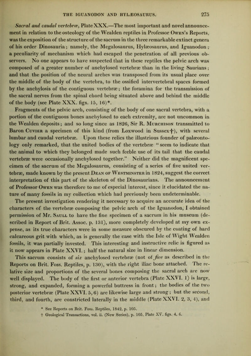 Sacral and caudal vertehrce, Plate XXX.—The most important and novel announce- ment in relation to the osteology of the Wealden reptiles in Professor Owen’s Reports, was the exposition of the structure of the sacrum in the three remarkable extinct genera of his order Dinosauria; namely, the Megalosaurus, Hylaeosaurus, and Iguanodon; a peculiarity of mechanism which had escaped the penetration of all previous ob- servers. No one appears to have suspected that in these reptiles the pelvic arch was composed of a greater number of anchylosed vertebrae than in the living Saurians; and that the position of the neural arches was transposed from its usual place over the middle of the body of the vertebra, to the ossified intervertebral spaces formed by the anchylosis of the contiguous vertebrae; the foramina for the transmission of the sacral nerves from the spinal chord being situated above and behind the middle of the body (see Plate XXX. figs. 15, 16)*. Fragments of the pelvic arch, consisting of the body of one sacral vertebra, with a portion of the contiguous bones anchylosed to each extremity, are not uncommon in the Wealden deposits; and so long since as 1826, Sir R. Murchison transmitted to Baron Cuvier a specimen of this kind (from Loxwood in Sussex-^-), with several lumbar and caudal vertebrae. Upon these relics the illustrious founder of palaeonto- logy only remarked, that the united bodies of the vertebrae “ seem to indicate that the animal to which they belonged made such feeble use of its tail that the caudal vertebrae were occasionally anchylosed together.” Neither did the magnificent spe- cimen of the sacrum of the Megalosaurus, consisting of a series of five united ver- tebrae, made known by the present Dean of Westminster in 1824, suggest the correct interpretation of this part of the skeleton of the Dinosaurians. The announcement of Professor Owen was therefore to me of especial interest, since it elucidated the na- ture of many fossils in my collection which had previously been undeterminable. The present investigation rendering it necessary to acquire an accurate idea of the characters of the vertebrae composing the pelvic arch of the Iguanodon, I obtained permission of Mr. Saull to have the fine specimen of a sacrum in his museum (de- scribed in Report of Brit. Assoc, p. 131), more completely developed at my own ex- pense, as its true characters were in some measure obscured by the coating of hard calcareous grit with which, as is generally the case with the Isle of Wight Wealden fossils, it was partially invested. This interesting and instructive relic is figured as it now appears in Plate XXVI.; half the natural size in linear dimension. This sacrum consists of six anchylosed vertebrae (not of Jive as described in the Reports on Brit. Foss. Reptiles, p. 130), with the right iliac bone attached. The re- lative size and proportions of the several bones composing the sacral arch are now well displayed. The body of the first or anterior vertebra (Plate XXVI. 1) is large, strong, and expanded, forming a powerful buttress in front; the bodies of the two posterior vertebrae (Plate XXVI. 5, 6) are likewise large and strong ; but the second, third, and fourth, are constricted laterally in the middle (Plate XXVI. 2, 3, 4), and * See Reports on Brit. Foss. Reptiles, 1842, p. 105. t Geological Transactions, vol. ii. (New Series), p. 105, Plate XV^. figs. 4, 6.