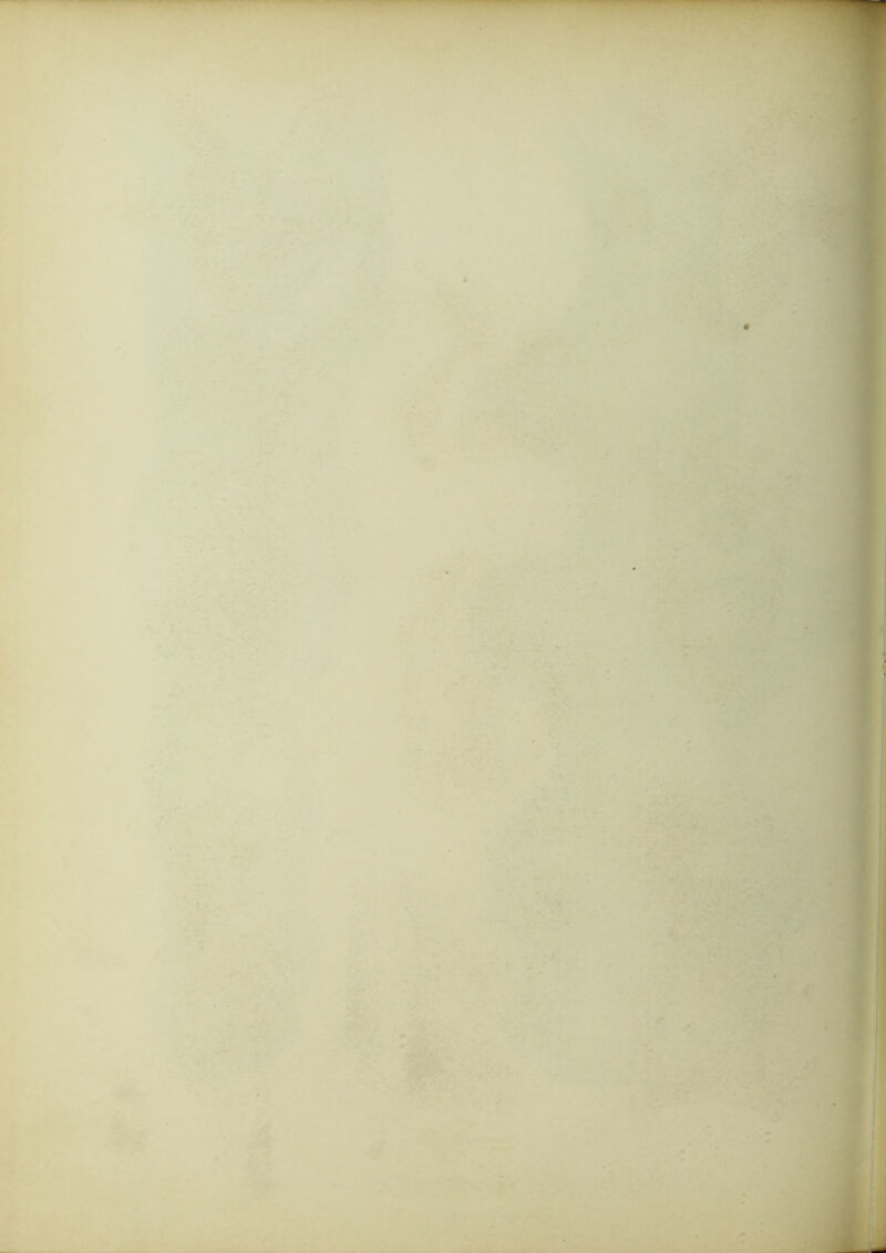 ff>, ’’ _ ». )B.' '< c: