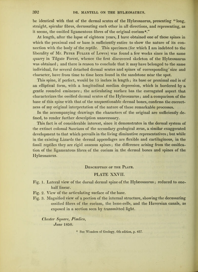 be identical with that of the dermal scutes of the Hylseosaurus, presenting “ long, straight, spicular fibres, decussating each other in all directions, and representing, as it seems, the ossified ligamentous fibres of the original corium*.” At length, after the lapse of eighteen years, I have obtained one of these spines in which the proximal end or base is sufficiently entire to show the nature of its con- nection with the body of the reptile. This specimen (for which I am indebted to the liberality of Mr. Peter Fuller of Lewes) was found a few weeks since in the same quarry in Tilgate Forest, whence the first discovered skeleton of the Hylseosaurus was obtained ; and there is reason to conclude that it may have belonged to the same individual, for several detached dermal scutes and spines of corresponding’ size and character, have from time to time been found in the sandstone near the spot. This spine, if perfect, would be 15 inches in length; its base or proximal end is of an elliptical form, with a longitudinal median depression, which is bordered by a gentle rounded eminence; the articulating surface has the corrugated aspect that characterizes the ossified dermal scutes of the Hylseosaurus ; and a comparison of the base of this spine with that of the unquestionable dermal bones, confirms the correct- ness of my original interpretation of the nature of these remarkable processes. In the accompanying drawings the characters of the original are sufficiently de- fined, to render further description unnecessary. This fact is of considerable interest, since it demonstrates in the dermal system of the extinct colossal Saurians of the secondary geological seras, a similar exaggerated development to that which prevails in the living diminutive representatives ; but while in the existing Lizards the dermal appendages are flexible and cartilaginous, in the fossil reptiles they are rigid osseous spines; the difference arising from the ossifica- tion of the ligamentous fibres of the corium in the dermal bones and spines of the Hylseosaurus. Description of the Plate. PLATE XXVII. Fig. 1. Lateral view of the dorsal dermal spine of the Hylseosaurus; reduced to one- half linear. Fig. 2. View of the articulating surface of the base. Fig. 3. Magnified view of a portion of the internal structure, showing the decussating ossified fibres of the corium, the bone-cells, and the Haversian canals, as exposed in a section seen by transmitted light. Chester Square, Pimlico, June 1850. * See Wonders of Geology, 6th edition, p. 437.