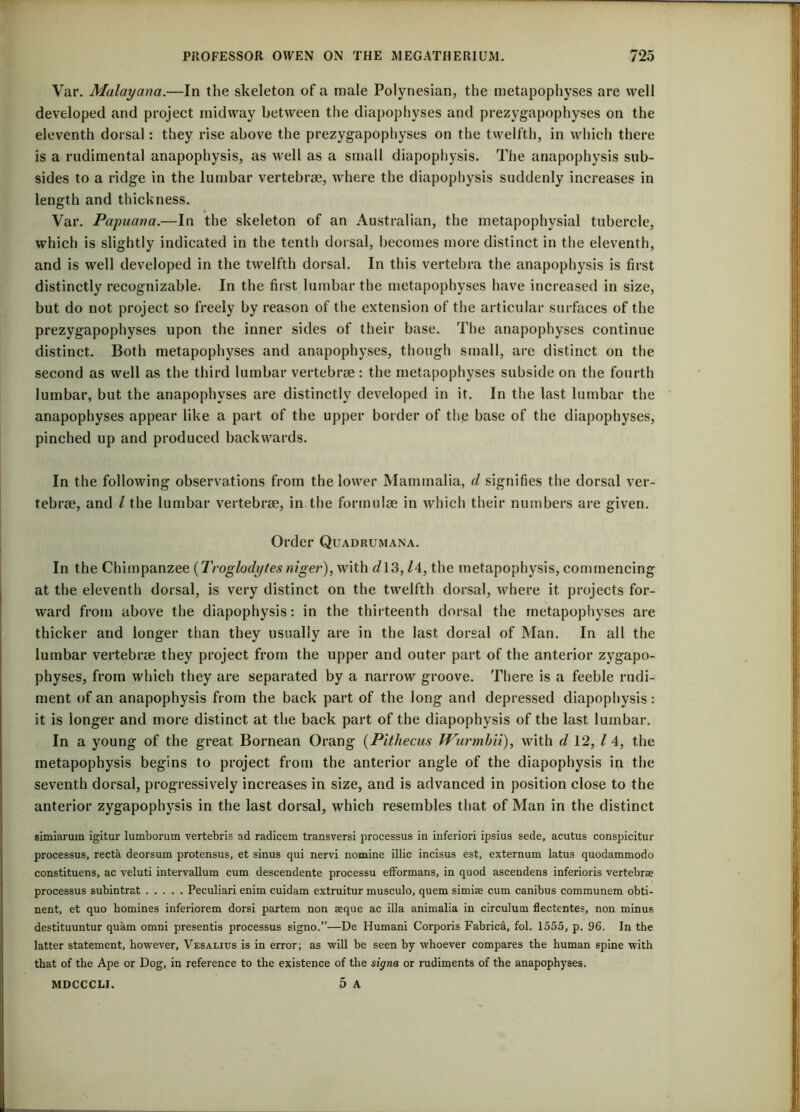 Var. Malay ana.—In the skeleton of a male Polynesian, the metapophyses are well developed and project midway between the diapophyses and prezygapophyses on the eleventh dorsal: they rise above the prezygapophyses on the twelfth, in which there is a rudimental anapophysis, as well as a small diapophysis. The anapophysis sub- sides to a ridge in the lumbar vertebrse, where the diapophysis suddenly increases in length and thickness. Var. Papuana.—In the skeleton of an Australian, the metapophysial tubercle, which is slightly indicated in the tenth dorsal, becomes more distinct in the eleventh, and is well developed in the twelfth dorsal. In this vertebra the anapophysis is first distinctly recognizable. In the first lumbar the metapophyses have increased in size, but do not project so freely by reason of the extension of the articular surfaces of the prezygapophyses upon the inner sides of their base. The anapophyses continue distinct. Both metapophyses and anapophyses, though small, are distinct on the second as well as the third lumbar vertebrse: the metapophyses subside on the fourth lumbar, but the anapophyses are distinctly developed in it. In the last lumbar the anapophyses appear like a part of the upper border of the base of the diapophyses, pinched up and produced backwards. In the following observations from the lower Mammalia, d signifies the dorsal ver- tebrae, and l the lumbar vertebrae, in the formulae in which their numbers are given. Order Quadrumana. In the Chimpanzee {Troglodytes niger), with d\3, 14, the metapophysis, commencing at the eleventh dorsal, is very distinct on the twelfth dorsal, where it projects for- ward from above the diapophysis: in the thirteenth dorsal the metapophyses are thicker and longer than they usually are in the last dorsal of Man. In all the lumbar vertebrae they project from the upper and outer part of the anterior zygapo- physes, from which they are separated by a narrow groove. There is a feeble rudi- ment of an anapophysis from the back part of the long and depressed diapophysis: it is longer and more distinct at the back part of the diapophysis of the last lumbar. In a young of the great Bornean Orang {Pithecus Wurmlni), with d 12, l 4, the metapophysis begins to project from the anterior angle of the diapophysis in the seventh dorsal, progressively increases in size, and is advanced in position close to the anterior zygapophysis in the last dorsal, which resembles that of Man in the distinct simiarum igitur lumborum vertebris ad radicem transversi processus in inferiori ipsius sede, acutus conspicitur processus, recta deorsum protensus, et sinus qui nervi nomine illic incisus est, externum latus quodammodo constituens, ac veluti intervallum cum descendente processu efformans, in quod ascendens inferioris vertebrae processus subintrat Peculiari enim cuidam extruitur musculo, quern simiae cum canibus communem obti- nent, et quo homines inferiorem dorsi partem non aeque ac ilia animalia in circulum flectentes, non minus destituuntur quam omni presentis processus signo.”—De Humani Corporis Fabrica, fol. 1555, p. 96. In the latter statement, however, Vesalius is in error; as will be seen by whoever compares the human spine with that of the Ape or Dog, in reference to the existence of the signa or rudiments of the anapophyses. MDCCCLI. 0 A
