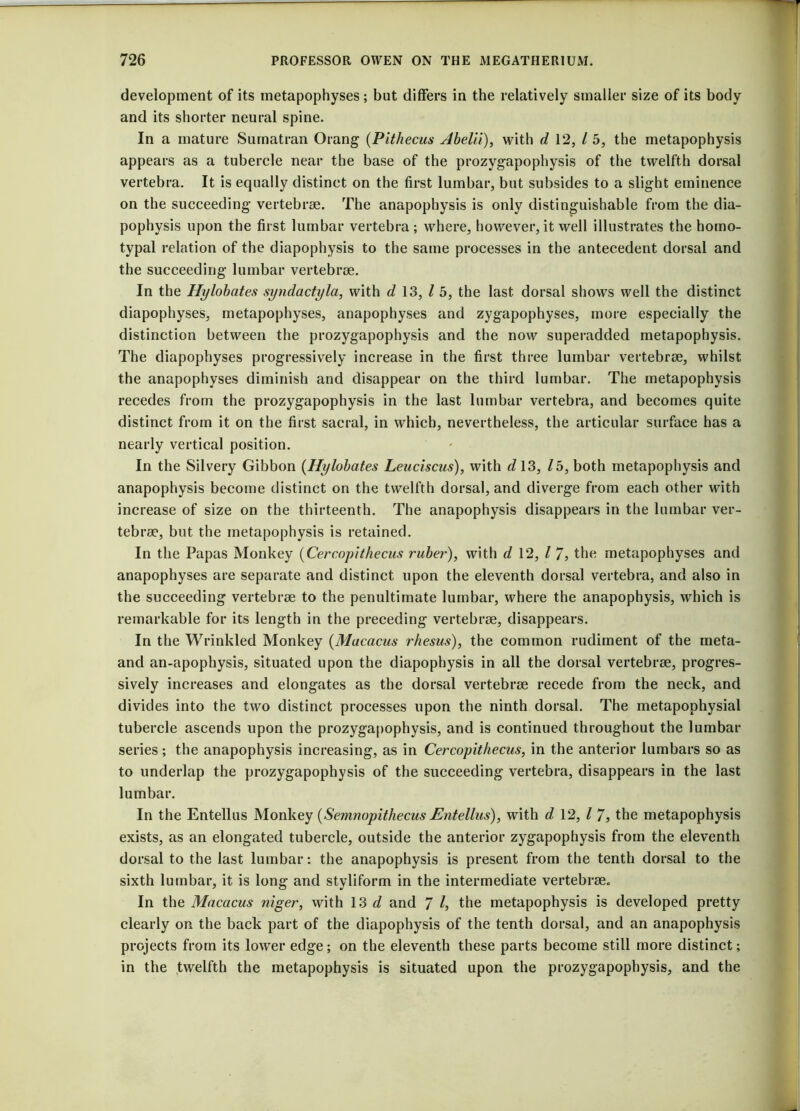 development of its metapophyses; but differs in the relatively smaller size of its body and its shorter neural spine. In a mature Sumatran Orang (Pithecus Abelii), with d 12, / 5, the metapophysis appears as a tubercle near the base of the prozygapophysis of the twelfth dorsal vertebra. It is equally distinct on the first lumbar, but subsides to a slight eminence on the succeeding vertebrse. The anapophysis is only distinguishable from the dia- pophysis upon the first lumbar vertebra ; where, however, it well illustrates the homo- typal relation of the diapophysis to the same processes in the antecedent dorsal and the succeeding lumbar vertebrse. In the Hylohates syndactyla, with d 13, l 5, the last dorsal shows well the distinct diapophyses, metapophyses, anapophyses and zygapophyses, more especially the distinction between the prozygapophysis and the now superadded metapophysis. The diapophyses progressively increase in the first three lumbar vertebrse, whilst the anapophyses diminish and disappear on the third lumbar. The metapophysis recedes from the prozygapophysis in the last lumbar vertebra, and becomes quite distinct from it on the first sacral, in which, nevertheless, the articular surface has a nearly vertical position. In the Silvery Gibbon (Hylohates Leuciscus), with d 13, lb, both metapophysis and anapophysis become distinct on the twelfth dorsal, and diverge from each other with increase of size on the thirteenth. The anapophysis disappears in the lumbar ver- tebrse, but the metapophysis is retained. In the Papas Monkey (Cercopilhecus ruber), with d 12, l 7, the metapophyses and anapophyses are separate and distinct upon the eleventh dorsal vertebra, and also in the succeeding vertebrse to the penultimate lumbar, where the anapophysis, which is remarkable for its length in the preceding vertebrse, disappears. In the Wrinkled Monkey (Macacus rhesus), the common rudiment of the meta- and an-apophysis, situated upon the diapophysis in all the dorsal vertebrse, progres- sively increases and elongates as the dorsal vertebrse recede from the neck, and divides into the two distinct processes upon the ninth dorsal. The metapophysial tubercle ascends upon the prozygapophysis, and is continued throughout the lumbar series; the anapophysis increasing, as in Cercopithecus, in the anterior lumbars so as to underlap the prozygapophysis of the succeeding vertebra, disappears in the last lumbar. In the Entellus Monkey (Semnopithecus Entellus), with d 12, l 7, the metapophysis exists, as an elongated tubercle, outside the anterior zygapophysis from the eleventh dorsal to the last lumbar: the anapophysis is present from the tenth dorsal to the sixth lumbar, it is long and styliform in the intermediate vertebrae. In the Macacus niger, with 13 d and 7 h the metapophysis is developed pretty clearly on the back part of the diapophysis of the tenth dorsal, and an anapophysis projects from its lower edge; on the eleventh these parts become still more distinct; in the twelfth the metapophysis is situated upon the prozygapophysis, and the