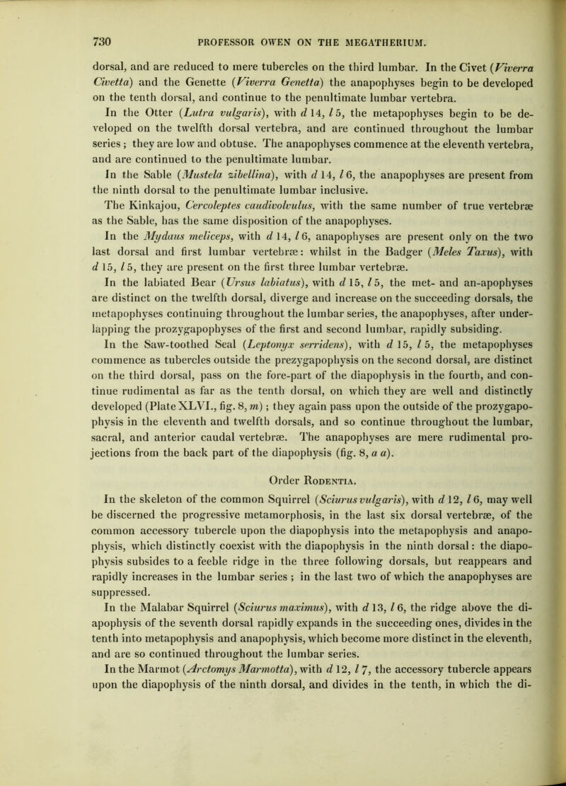 dorsal, and are reduced to mere tubercles on the third lumbar. In the Civet (Viverra Civetta) and the Genette (Viverra Genetta) the anapophyses begin to be developed on the tenth dorsal, and continue to the penultimate lumbar vertebra. In the Otter (Lufra vulgaris), with d 14, lb, the metapophyses begin to be de- veloped on the twelfth dorsal vertebra, and are continued throughout the lumbar series ; they are low and obtuse. The anapophyses commence at the eleventh vertebra, and are continued to the penultimate lumbar. In the Sable (Mustela zibellina), with cl 14, / 6, the anapophyses are present from the ninth dorsal to the penultimate lumbar inclusive. The Kinkajou, Cercoleptes caudivolvulus, with the same number of true vertebrae as the Sable, has the same disposition of the anapophyses. In the Mydaus meliceps, with d 14, 16, anapophyses are present only on the two last dorsal and first lumbar vertebrae: whilst in the Badger (Meles Taxus), with d 15, / 5, they are present on the first three lumbar vertebrae. In the labiated Bear (Ursus labiatus), with d 15, lb, the met- and an-apophyses are distinct on the twelfth dorsal, diverge and increase on the succeeding dorsals, the metapophyses continuing throughout the lumbar series, the anapophyses, after under- lapping the prozygapophyses of the first and second lumbar, rapidly subsiding. In the Saw-toothed Seal (Leptovyx serridens), with d 15, lb, the metapophyses commence as tubercles outside the prezygapophysis on the second dorsal, are distinct on the third dorsal, pass on the fore-part of the diapophysis in the fourth, and con- tinue rudimental as far as the tenth dorsal, on which they are well and distinctly developed (Plate XLVI., fig. 8, m); they again pass upon the outside of the prozygapo- physis in the eleventh and twelfth dorsals, and so continue throughout the lumbar, sacral, and anterior caudal vertebrae. The anapophyses are mere rudimental pro- jections from the back part of the diapophysis (fig. 8, a a). Order Rodentia. In the skeleton of the common Squirrel (Sciurus vulgaris), with d 12, /6, may well be discerned the progressive metamorphosis, in the last six dorsal vertebrae, of the common accessory tubercle upon the diapophysis into the metapophysis and anapo- physis, which distinctly coexist with the diapophysis in the ninth dorsal: the diapo- physis subsides to a feeble ridge in the three following dorsals, but reappears and rapidly increases in the lumbar series ; in the last two of which the anapophyses are suppressed. In the Malabar Squirrel (Sciurus maximus), with d 13, 16, the ridge above the di- apophysis of the seventh dorsal rapidly expands in the succeeding ones, divides in the tenth into metapophysis and anapophysis, which become more distinct in the eleventh, and are so continued throughout the lumbar series. In the Marmot (Arctomys Marmotta), with d 12, l 7, the accessory tubercle appears upon the diapophysis of the ninth dorsal, and divides in the tenth, in which the di-
