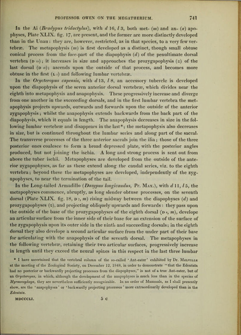 In the Ai (Bradypus tridactylus), with d 16, / 3, both met- (in) and an- (a) apo- physes, Plate XLIX. fig. 17; are present, and the former are more distinctly developed than in the Unau: they are, however, restricted, as in that species, to a very few ver- tebrae. The metapophysis (in) is first developed as a distinct, though small obtuse conical process from the fore-part of the diapophysis (d) of the penultimate dorsal vertebra (d 15); it increases in size and approaches the prozygapophysis (z) of the last dorsal (d is); ascends upon the outside of that process, and becomes more obtuse in the first (l 1) and following lumbar vertebrae. In the Orycteropus capensis, with d 13, / 8, an accessory tubercle is developed upon the diapophysis of the seven anterior dorsal vertebrae, which divides near the eighth into metapophysis and anapophysis. These progressively increase and diverge from one another in the succeeding dorsals, and in the first lumbar vertebra the met- apophysis projects upwards, outwards and forwards upon the outside of the anterior zygapophysis; whilst the anapophysis extends backwards from the back part of the diapophysis, which it equals in length. The anapophysis decreases in size in the fol- lowing lumbar vertebrae and disappears in the last*; the metapophysis also decreases in size, but is continued throughout the lumbar series and along part of the sacral. The transverse processes of the three anterior saerals join the ilia; those of the three posterior ones coalesce to form a broad depressed plate, with the posterior angles produced, but not joining the ischia. A long and strong process is sent out from above the tuber iscbii. Metapophyses are developed from the outside of the ante- rior zygapophvses, as far as these extend along the caudal series, viz. to the eighth vertebra; beyond these the metapophyses are developed, independently of the zyg- apophyses, to near the termination of the tail. In the Long-tailed Armadillo (Dasypus longicaudus, Pr. Max.), with dll, 15, the metapophyses commence, abruptly, as long slender obtuse processes, on the seventh dorsal (Plate XLIX. fig. 18, d 7, m) rising midway between the diapophyses (d) and prozygapophyses (z), and projecting obliquely upwards and forwards; they pass upon the outside of the base of the prozygapophyses of the eighth dorsal (d s, m), develope an articular surface from the inner side of their base for an extension of the surface of the zygapophysis upon its outer side in the ninth and succeeding dorsals; in the eighth dorsal they also develope a second articular surface from the under part of their base for articulating with the anapophysis of the seventh dorsal. The metapophyses in the following vertebrae, retaining their two articular surfaces, progressively increase in length until they exceed the neural spines in this respect in the last three lumbar * I have ascertained that the vertebral column of the so-called ‘Ant-eater’ exhibited by Dr. Melville at the meeting of the Zoological Society, on December 12, 1848, in order to demonstrate “that the Edentata had no posterior or backwardly projecting processes from the diapophyses,” is not of a true Ant-eater, but of an Orycteropus, in which, although the development of the anapophyses is much less than in the species of Myrmecophaga, they are nevertheless sufficiently recognizable. In no order of Mammals, as I shall presently show, are the ‘ anapophyses ’ or ‘ backwardly projecting processes ’ more extraordinarily developed than in the Edentata. 5 c MDCCCLI.