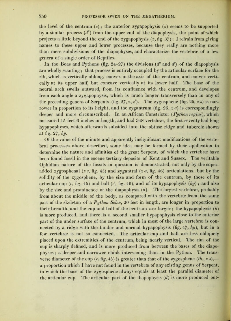 the level of the centrum (c); the anterior zygapophysis (z) seems to be supported by a similar process (d) from the upper end of the diapophysis, the point of which projects a little beyond the end of the zygapophysis (z, fig. 37): I refrain from giving names to these upper and lower processes, because they really are nothing more than mere subdivisions of the diapophyses, and characterize the vertebrae of a few genera of a single order of Reptiles. In the Boas and Pythons (fig. 24-27) the divisions (d and d') of the diapophysis are wholly wanting; that process is entirely occupied by the articular surface for the rib, which is vertically oblong, convex in the axis of the centrum, and convex verti- cally at its upper half, but concave vertically at its lower half. The base of the neural arch swells outward, from its confluence with the centrum, and developes from each angle a zygapophysis, which is much longer transversely than in any of the preceding genera of Serpents (fig. 27, 2, z'). The zygosphene (fig. 25, zs) is nar- rower in proportion to its height, and the zygantrum (fig. 26, z a) is correspondingly deeper and more circumscribed. In an African Constrictor (Python regius), which measured 15 feet 6 inches in length, and had 348 vertebrae, the first seventy had long hypapophyses, which afterwards subsided into the obtuse ridge and tubercle shown at fig. 27, hy. Of the value of the minute and apparently insignificant modifications of the verte- bral processes above described, some idea may be formed by their application to determine the nature and affinities of the great Serpent, of which the vertebrae have been found fossil in the eocene tertiary deposits of Kent and Sussex. The veritable Ophidian nature of the fossils in question is demonstrated, not only by the super- added zygosphenal (zs, fig. 45) and zygantral (za, fig. 46) articulations, but by the solidity of the zygosphene, by the size and form of the centrum, by those of its articular cup (c, fig. 45) and ball (c', fig. 46), and of its hypapophysis (hy) ; and also by the size and prominence of the diapophysis (d). The largest vertebrae, probably from about the middle of the body, as compared with the vertebrae from the same part of the skeleton of a Python Sebce, 20 feet in length, are longer in proportion to their breadth, and the cup and ball of the centrum are larger; the hypapophysis (h) is more produced, and there is a second smaller hypapophysis close to the anterior part of the under surface of the centrum, which in most of the large vertebrae is con- nected by a ridge with the hinder and normal hypapophysis (fig. 47, hy), but in a few vertebrae is not so connected. The articular cup and ball are less obliquely placed upon the extremities of the centrum, being nearly vertical. The rim of the cup is sharply defined, and is more produced from between the bases of the diapo- physes ; a deeper and narrower chink intervening than in the Python. The trans- verse diameter of the cup (c, fig. 45) is greater than that of the zygosphene (ih., zs),— a proportion which I have not found in the vertebrae of any existing genus of Serpent, in which the base of the zygosphene always equals at least the parallel diameter of the articular cup. The articular part of the diapophysis (d) is more produced out-