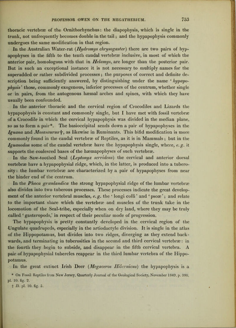 thoracic vertebrae of the Ornithorhynchus: the diapophysis, which is single in the trunk, not unfrequently becomes double in the tail; and the hypapophysis commonly undergoes the same modification in that region. In the Australian Water-rat (Hydromys chrysogaster) there are two pairs of hyp- apophyses in the fifth to the tenth caudal vertebrae inclusive, in most of which the anterior pair, homologous with that in Helamys, are longer than the posterior pair. But in such an exceptional instance it is not necessary to multiply names for the superadded or rather subdivided processes; the purposes of correct and definite de- scription being sufficiently answered, by distinguishing under the name ‘ hypapu- physis ’ those, commonly exogenous, inferior processes of the centrum, whether single or in pairs, from the autogenous haemal arches and spines, with which they have usually been confounded. In the anterior thoracic and the cervical region of Crocodiles and Lizards the hypapophysis is constant and commonly single, but I have met with fossil vertebrae of a Crocodile in which the cervical hypapophysis was divided in the median plane, so as to form a pair*. The basioccipital sends down a pair of hypapophvses in the Iguana and Mosasaurus'f~, as likewise in Ruminants. This bifid modification is more commonly found in the caudal vertebrae of Reptiles, as it is in Mammals ; but in the Iguanodon some of the caudal vertebrae have the hypapophysis single, where, e.g. it supports the coalesced bases of the haemapophyses of such vertebrae. In the Saw-toothed Seal (Leptonyx serridens) the cervical and anterior dorsal vertebrae have a hypapophysial ridge, which, in the latter, is produced into a tubero- sity: the lumbar vertebrae are characterized by a pair of hypapophyses from near the hinder end of the centrum. In the Phoca groenlandica the strong hypapophysial ridge of the lumbar vertebrae also divides into two tuberous processes. These processes indicate the great develop- ment of the anterior vertebral muscles, e.g. the ‘ longi colli’ and ‘psoae’; and relate to the important share which the vertebrae and muscles of the trunk take in the locomotion of the Seal-tribe, especially when on dry land, where they may be truly called 4 gasteropods,’ in respect of their peculiar mode of progression. The hypapophysis is pretty constantly developed in the cervical region of the Ungulate quadrupeds, especially in the artiodactyle division. It is single in the atlas of the Hippopotamus, but divides into two ridges, diverging as they extend back- wards, and terminating in tuberosities in the second and third cervical vertebrae: in the fourth they begin to subside, and disappear in the fifth cervical vertebra. A pair of hypapophysial tubercles reappear in the third lumbar vertebra of the Hippo- potamus. In the great extinct Irish Deer (Megaceros Hibernicus) the hypapophysis is a * On Fossil Reptiles from New Jersey, Quarterly Journal of the Geological Society, November 1849, p. 380, pi. 10. fig. 2. f lb. pi. 10. fig. 5.