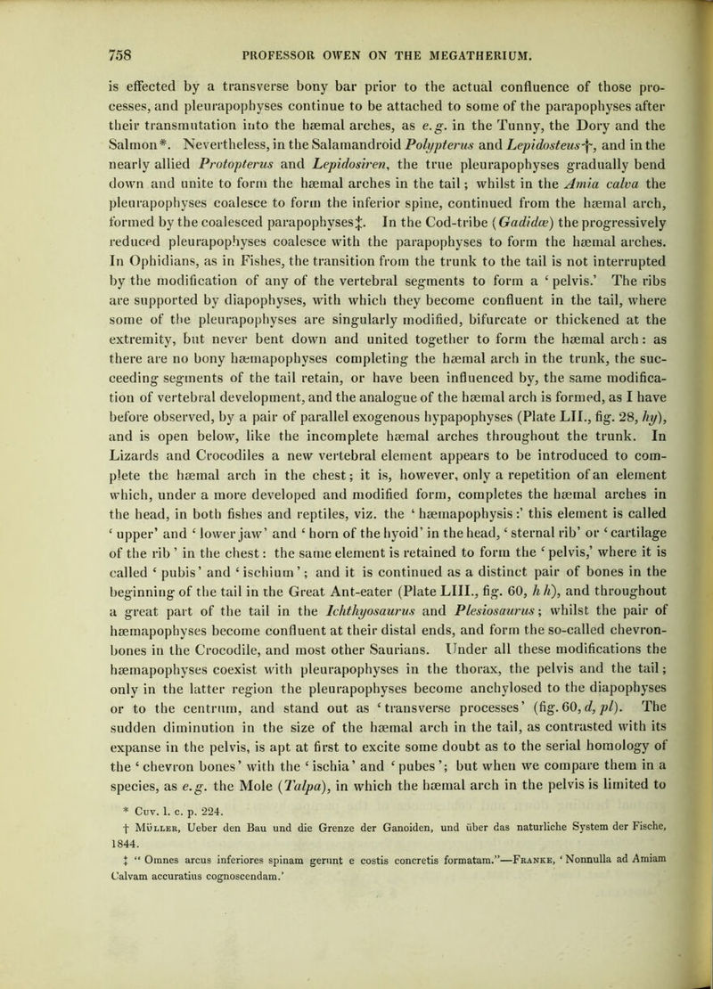 is effected by a transverse bony bar prior to the actual confluence of those pro- cesses, and pleurapophyses continue to be attached to some of the parapophyses after their transmutation into the haemal arches, as e.g. in the Tunny, the Dory and the Salmon*. Nevertheless, in the Salamandroid Polypterus and Lepidosteus\, and in the nearly allied Protopterus and Lepidosiren, the true pleurapophyses gradually bend down and unite to form the haemal arches in the tail; whilst in the Amia calva the pleurapophyses coalesce to form the inferior spine, continued from the haemal arch, formed by the coalesced parapophysesIn the Cod-tribe (Gadidce) the progressively reduced pleurapophyses coalesce with the parapophyses to form the haemal arches. In Ophidians, as in Fishes, the transition from the trunk to the tail is not interrupted by the modification of any of the vertebral segments to form a 4 pelvis.’ The ribs are supported by diapophyses, with which they become confluent in the tail, where some of the pleurapophyses are singularly modified, bifurcate or thickened at the extremity, but never bent down and united together to form the haemal arch: as there are no bony haemapophyses completing the haemal arch in the trunk, the suc- ceeding segments of the tail retain, or have been influenced by, the same modifica- tion of vertebral development, and the analogue of the haemal arch is formed, as I have before observed, by a pair of parallel exogenous hypapophyses (Plate LII., fig. 28, hy), and is open below, like the incomplete haemal arches throughout the trunk. In Lizards and Crocodiles a new vertebral element appears to be introduced to com- plete the haemal arch in the chest; it is, however, only a repetition of an element which, under a more developed and modified form, completes the haemal arches in the head, in both fishes and reptiles, viz. the ‘ haemapophysisthis element is called 4 upper’ and 4 lower jaw’ and 4 horn of the hyoid’ in the head,4 sternal rib’ or ‘cartilage of the rib ’ in the chest: the same element is retained to form the 4 pelvis,’ where it is called 4 pubis’ and 4 ischium ’; and it is continued as a distinct pair of bones in the beginning of the tail in the Great Ant-eater (Plate LIII., fig. 60, hJi), and throughout a great part of the tail in the Ichthyosaurus and Plesiosaurus; whilst the pair of haemapophyses become confluent at their distal ends, and form the so-called chevron- bones in the Crocodile, and most other Saurians. Under all these modifications the haemapophyses coexist with pleurapophyses in the thorax, the pelvis and the tail; only in the latter region the pleurapophyses become anchylosed to the diapophyses or to the centrum, and stand out as 4 transverse processes’ (fig. 60, d, pi). The sudden diminution in the size of the haemal arch in the tail, as contrasted with its expanse in the pelvis, is apt at first to excite some doubt as to the serial homology of the 4 chevron bones’ with the 4 ischia’ and 4 pubes ’; but when we compare them in a species, as e.g. the Mole (Talpa), in which the haemal arch in the pelvis is limited to * Cuv. 1. c. p. 224. t Muller, Ueber den Bau und die Grenze der Ganoiden, und iiber das naturliche System der Fische, 1844. t “ Omnes arcus inferiores spinam gerunt e costis concretis formatam.”—Franke, ‘ Nonnulla ad Amiam Calvam accuratius cognoscendam.’