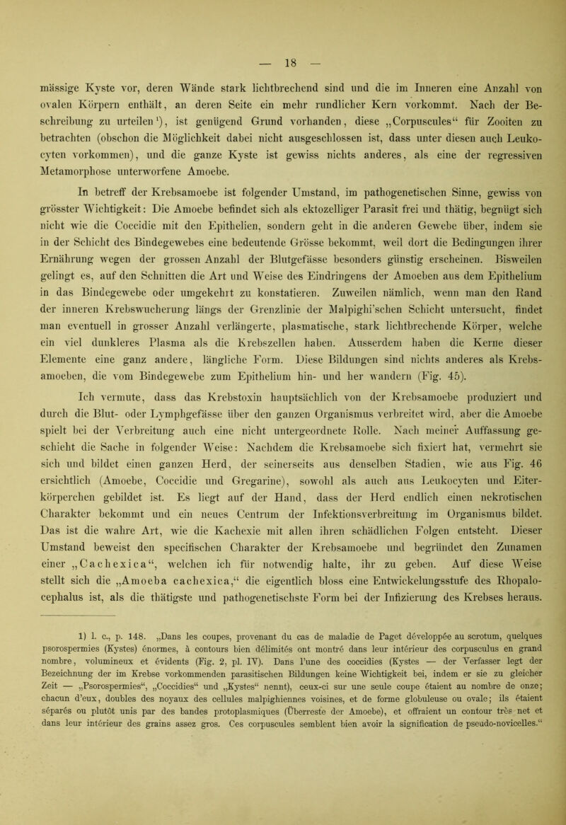 massige Kyste vor, deren Wände stark lichtbrechend sind und die im Inneren eine Anzahl von ovalen Körpern enthält, an deren Seite ein mehr rundlicher Kern vorkommt. Nach der Be- schreibung zu urteilen1), ist genügend Grund vorhanden, diese „Corpuscules“ für Zooiten zu betrachten (obschon die Möglichkeit dabei nicht ausgeschlossen ist, dass unter diesen auch Leuko- cyten Vorkommen), und die ganze Kyste ist gewiss nichts anderes, als eine der regressiven Metamorphose unterworfene Amoebe. In betreff der Krebsamoebe ist folgender Umstand, im pathogenetischen Sinne, gewiss von grösster Wichtigkeit: Die Amoebe befindet sich als ektozelliger Parasit frei und thätig, begnügt sich nicht wie die Coccidie mit den Epithelien, sondern geht in die anderen Gewebe über, indem sie in der Schicht des Bindegewebes eine bedeutende Grösse bekommt, weil dort die Bedingungen ihrer Ernährung wegen der grossen Anzahl der Blutgefässe besonders günstig erscheinen. Bisweilen gelingt es, auf den Schnitten die Art und Weise des Eindringens der Amoeben aus dem Epithelium in das Bindegewebe oder umgekehrt zu konstatieren. Zuweilen nämlich, wenn man den Rand der inneren Krebswucherung längs der Grenzlinie der Malpighi’schen Schicht untersucht, findet man eventuell in grosser Anzahl verlängerte, plasmatische, stark lichtbrechende Körper, welche ein viel dunkleres Plasma als die Krebszellen haben. Ausserdem haben die Kerne dieser Elemente eine ganz andere, längliche Form. Diese Bildungen sind nichts anderes als Krebs- amoeben, die vom Bindegewebe zum Epithelium hin- und her wandern (Fig. 45). Ich vermute, dass das Krebstoxin hauptsächlich von der Krebsamoebe produziert und durch die Blut- oder Lymphgefässe über den ganzen Organismus verbreitet wird, aber die Amoebe spielt bei der Verbreitung auch eine nicht untergeordnete Rolle. Nach meiner Auffassung ge- schieht die Sache in folgender Weise: Nachdem die Krebsamoebe sich fixiert hat, vermehrt sie sich und bildet einen ganzen Herd, der seinerseits aus denselben Stadien, wie aus Fig. 46 ersichtlich (Amoebe, Coccidie und Gregarine), sowohl als auch aus Leukocyten und Eiter- körperchen gebildet ist. Es liegt auf der Hand, dass der Herd endlich einen nekrotischen Charakter bekommt und ein neues Centrum der Infektionsverbreitung im Organismus bildet. Das ist die wahre Art, wie die Kachexie mit allen ihren schädlichen Folgen entsteht. Dieser Umstand beweist den specifischen Charakter der Krebsamoebe und begründet den Zunamen einer „Cachexica“, welchen ich für notwendig halte, ihr zu geben. Auf diese Weise stellt sich die „Amoeba cacliexica,“ die eigentlich bloss eine Entwickelungsstufe des Rhopalo- cepkalus ist, als die thätigste und pathogenetischste Form bei der Infizierung des Krebses heraus. 1) 1. c., p. 148. „Dans les coupes, provenant du cas de maladie de Paget developpee au scrotum, quelques psorospermies (Kystes) enormes, ä contours bien delimites ont montre dans leur interieur des corpusculus en grand nombre, volumineux et evidents (Fig. 2, pl. IY). Dans l’une des coccidies (Kystes — der Yerfasser legt der Bezeichnung der im Krebse vorkommenden parasitischen Bildungen keine Wichtigkeit bei, indem er sie zu gleicher Zeit — „Psorospermies“, „Coccidies“ und „Kystes“ nennt), ceux-ci sur une seule coupe etaient au nombre de onze; chacun d’eux, doubles des noyaux des cellules malpighiennes voisines, et de forme globuleuse ou ovale; ils etaient separes ou plutöt unis par des bandes protoplasmiques (Überreste der Amoebe), et offraient un contour tres net et dans leur interieur des grains assez gros. Ces corpuscules semblent bien avoir la signification de pseudo-novicelles.“