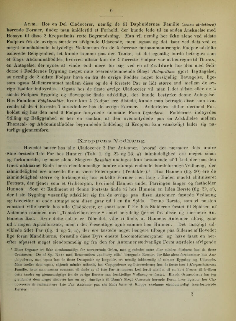 Anm. Hos en Del Cladocerer, nemlig de til Daphnidernes Familie (sensu strictiore) hørende Former, finder man imidlertid et Forhold, der kunde lede til en anden Anskuelse med Hensyn til disse 2 Kropsafsnits rette Begrændsning. Man vil nemlig her ikke alene ved sidste Fodpars fra de øvriges særdeles afvigende Udseende, men ogsaa og det især ved dets ved et meget iøinefaldende betydeligt Mellemrum fra de 4 forreste tæt sammentrængte Fodpar adskilte isolerede Beliggenhed, let kunde komme paa den Tanke, at det egentlig burde betragtes som et Slags Abdominalfødder, hvorved altsaa kun de 4 forreste Fodpar var at henregne til Thorax, en Antagelse, der synes at vinde end mere for sig ved en af Zaddach hos den med Sidi- derne i Føddernes Bygning meget nøie overensstemmende Slægt Holopedium gjort Iagttagelse, at nemlig de 2 sidste Fodpar have en fra de øvrige Fødder noget forskjellig Bevægelse, lige- som ogsaa Mellemrummet mellem disse og de 4 forreste Par er lidt større end mellem de øv- rige Fødder indbyrdes. Ogsaa hos de fleste øvrige Cladocerer vil man i det sidste eller de 2 sidste Fodpars Bygning og Bevægelse finde adskilligt, der kunde bestyrke denne Antagelse. Hos Familien Polyhpertiidæ, hvor kun 4 Fodpar ere tilstede, kunde man betragte disse som sva- rende til de 4 forreste Thoraxfødder hos de øvrige Former. Anderledes stiller derimod For- holdet sig hos den med 6 Fodpar forsynede anomale Form Leptodora. Føddernes indbyrdes Stilling og Beliggenhed er her en saadan, at den ovenantvdede paa en Adskillelse mellem Thoracal- og Abdominalfødder begrundede Inddeling af Kroppen kun vanskeligt lader sig na- turligt gjennemføre. Kroppens Vedliæng. Hovedet bærer hos alle Cladocerer 2 Par Antenner, hvoraf det nærmere dets undre Side fæstede 1ste Par hos Hunnen (Tab. 1, fig. 22 og 23, a) ialmindelighed ere meget smaa og forkumrede, og naar alene Slægten Bosmina undtages kun bestaaende af 1 Led, der paa den tvært afskaarne Ende bære eiendommelige tandre stumpt endende børsteformige Vedhæng, der ialmindelighed ere anseede for at være Føleorganer (Tentakler).® Hos Hannen (fig. 30) ere de ialmindelighed større og forlænge sig hos enkelte Former i en lang i Enden stærkt chitiniseret Fortsats, der tjener som et Gribeorgan, hvormed Hannen under Parringen fanger og fastholder Hunnen. Som et Rudiment af denne Fortsats finde vi hos Hunnen en liden Børste (fig. 22, a‘), der i sin Bygning væsentlig adskiller sig fra de øvrige paa disse Antenner fæstede Vedhæng og istedetfor at ende stumpt som disse gaar ud i en fin Spids. Denne Børste, som vi næsten constanf ville træffe hos alle Cladocerer, er snart som f. Ex. hos Sididerne fæstet til Spidsen af Antennen sammen med „Tentakelbørsterne,“ snart betydelig fjernet fra disse og nærmere An- tennens Rod. Hvor dette sidste er Tilfældet, ville vi finde, at Hannens Antenner aldrig gaar ud i nogen Apicalfortsats, men i det Væsentlige ligne samme hos Hunnen. Det mægtigt ud- viklede 2det Par (fig. 1 og-2, «), der ere fæstede noget længere tilbage paa Siderne af Hovedet lige foran Mandiblerne, forestille disse Dyrs- eneste Locomotionsorganer og have faaet en her- efter afpasset meget eiendommelig og fra den for Antenner sædvanlige Form særdeles afvigende 1 Disse Organer ere ikke eiendommelige for nærværende Orden, men gjenfindes mere eller mindre distincte hos de fleste Crustaceer. De af Sp. Båte me*l Benævnelsen „auditory cilia“ betegnede Borster, der ikke alene forekommer hos Am- phipoderne, men ogsaa hos de fleste Decapoder og Isopodér, ere nemlig fuldstændig af samme Bygning og Udseende. Man træffer dem ogsaa, skjondt mindre udbredt, hos Copepoderne og Ostracoderne; hos de første især i Harpacticidernes Familie, hvor man næsten constant vil finde et af 1ste Par Antenners Led fortil udvidet til en kort Proces, til hvilken dette tandre og gjennemsigtige fra de øvrige Borster saa forskjellige Vedhæng er fæstet. Blandt Ostracoderne har jeg gjenfundet dem meget distincte hos en ny, rimeligvis til Dana’s Slægt Concoecia hørende Form, hvor ligesom hos Cla- docererne de rudimentære 1ste Par Antenner paa sin Ende bære et Knippe saadanne eiendommeligt transformerede Børster. 2