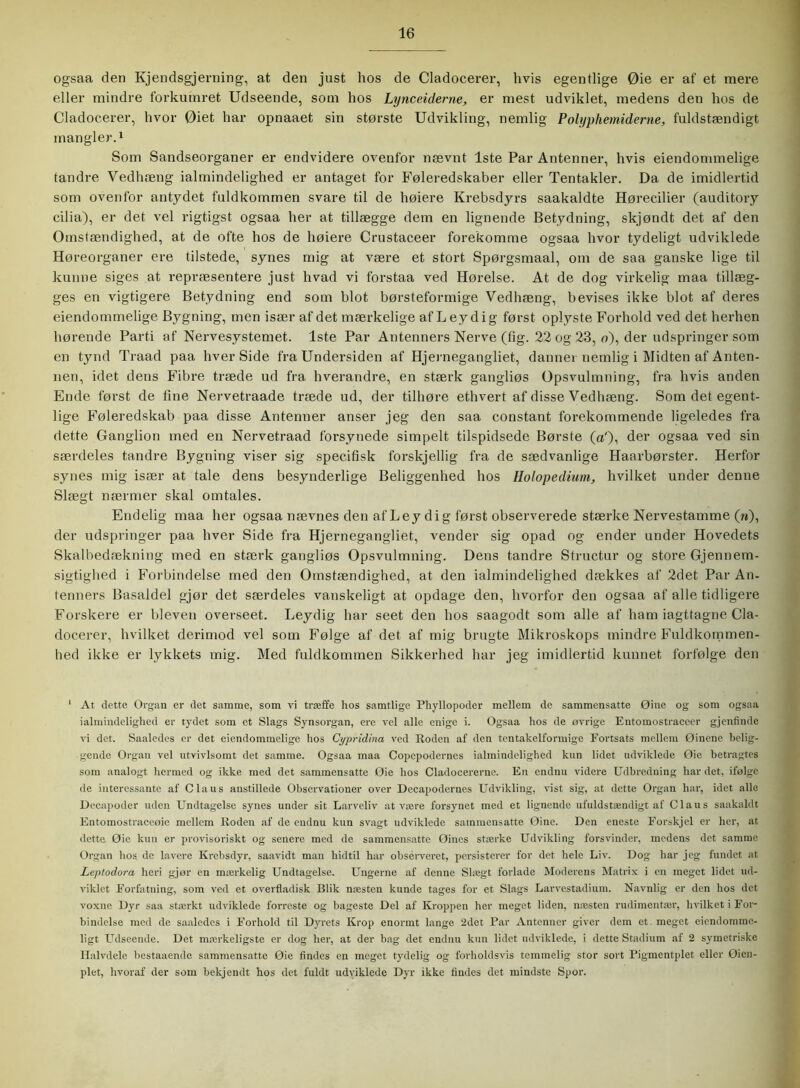 ogsaa den Kjendsgjerning, at den just hos de Cladocerer, hvis egentlige Øie er af et mere eller mindre forkumret Udseende, som hos Lynceiderne, er mest udviklet, medens den hos de Cladocerer, hvor Øiet har opnaaet sin største Udvikling, nemlig Polyphemiderne, fuldstændigt mangler.1 Som Sandseorganer er endvidere ovenfor nævnt 1ste Par Antenner, hvis eiendommelige tandre Vedhæng ialmindelighed er antaget for Føleredskaber eller Tentakler. Da de imidlertid som ovenfor antydet fuldkommen svare til de høiere Krebsdyrs saakaldte Hørecilier (auditory cilia), er det vel rigtigst ogsaa her at tillægge dem en lignende Betydning, skjøndt det af den Omstændighed, at de ofte hos de høiere Crustaceer forekomme ogsaa hvor tydeligt udviklede Høreorganer ere tilstede, synes mig at være et stort Spørgsmaal, om de saa gauske lige til kunne siges at repræsentere just hvad vi forstaa ved Hørelse. At de dog virkelig maa tillæg- ges en vigtigere Betydning end som blot børsteformige Vedhæng, bevises ikke blot af deres eiendommelige Bygning, men især af det mærkelige af Leydig først oplyste Forhold ved det herhen hørende Parti af Nervesystemet. 1ste Par Antenners Nerve (fig. 22 og 23, o), der udspringer som en tynd Traad paa hver Side fra Undersiden af Hjernegangliet, danner nemlig i Midten af Anten- nen, idet dens Fibre træde ud fra hverandre, en stærk gangliøs Opsvulmning, fra hvis anden Ende først de fine Nervetraade træde ud, der tilhøre ethvert af disse Vedhæng. Som det egent- lige Føleredskab paa disse Antenner anser jeg den saa constant forekommende ligeledes fra dette Ganglion med en Nervetraad forsynede simpelt tilspidsede Børste («'), der ogsaa ved sin særdeles tandre Bygning viser sig specifisk forskjellig fra de sædvanlige Haarbørster. Herfor synes mig især at tale dens besynderlige Beliggenhed hos Holopedium, hvilket under denne Slægt nærmer skal omtales. Endelig maa her ogsaa nævnes den af Leydig først observerede stærke Nervestamme (n), der udspringer paa hver Side fra Hjernegangliet, vender sig opad og ender under Hovedets Skalbedækning med en stærk gangliøs Opsvulmning. Dens tandre Structur og store Gjennem- sigtighed i Forbindelse med den Omstændighed, at den ialmindelighed dækkes af 2det Par An- tenners Basaldel gjør det særdeles vanskeligt at opdage den, hvorfor den ogsaa af alle tidligere Forskere er bleven overseet. Leydig har seet den hos saagodt som alle af ham iagttagne Cla- docerer, hvilket derimod vel som Følge af det af mig brugte Mikroskops mindre Fuldkommen- hed ikke er lykkets mig. Med fuldkommen Sikkerhed har jeg imidlertid kunnet forfølge den 1 At dette Organ er det samme, som vi træffe hos samtlige Phyllopoder mellem de sammensatte Øine og som ogsaa ialmindelighed er tydet som et Slags Synsorgan, ere vel alle enige i. Ogsaa hos de øvrige Entomostraceer gjenfinde vi det. Saaledes er det eiendommelige hos Cypridina ved Roden af den tentakelformige Fortsats mellem Øinene belig- gende Organ vel utvivlsomt det samme. Ogsaa maa Copepodernes ialmindelighed kun lidet udviklede Øie betragtes som analogt hermed og ikke med det sammensatte Øie hos Cladocererne. En endnu videre Udbredning har det, ifølge de interessante af Claus anstillede Observationer over Decapodernes Udvikling, vist sig, at dette Organ har, idet alle Decapoder uden Undtagelse synes under sit Larveliv atvære forsynet med et lignende ufuldstændigt af Claus saakaldt Entomostraceøie mellem Roden af de endnu kun svagt udviklede sammensatte Øine. Den eneste Forskjel er her, at dette Øie kun er provisoriskt og senere med de sammensatte Øines stærke Udvikling forsvinder, medens det samme Organ hos de lavere Krebsdyr, saavidt man hidtil har obsérveret, persisterer for det hele Liv. Dog har jeg fundet at Leptodora heri gjør en mærkelig Undtagelse. Ungerne af denne Slægt forlade Moderens Matrix i en meget lidet ud- viklet Forfatning, som ved et overfladisk Blik næsten kunde tages for et Slags Larvestadium. Navnlig er den hos det voxne Dyr saa stærkt udviklede forreste og bageste Del af Kroppen her meget liden, næsten rudimentær, hvilket i For- bindelse med de saaledes i Forhold til Dyrets Krop enormt lange 2det Par Antenner giver dem et meget ciemlommc- ligt Udseende. Det mærkeligste er dog her, at der bag det endnu kun lidet udviklede, i dette Stadium af 2 symetriske Halvdele bestaaende sammensatte Øie findes en meget tydelig og forholdsvis temmelig stor sort Pigmentplet eller Øien- plet, hvoraf der som bekjendt hos det fuldt udviklede Dyr ikke tindes det mindste Spor.