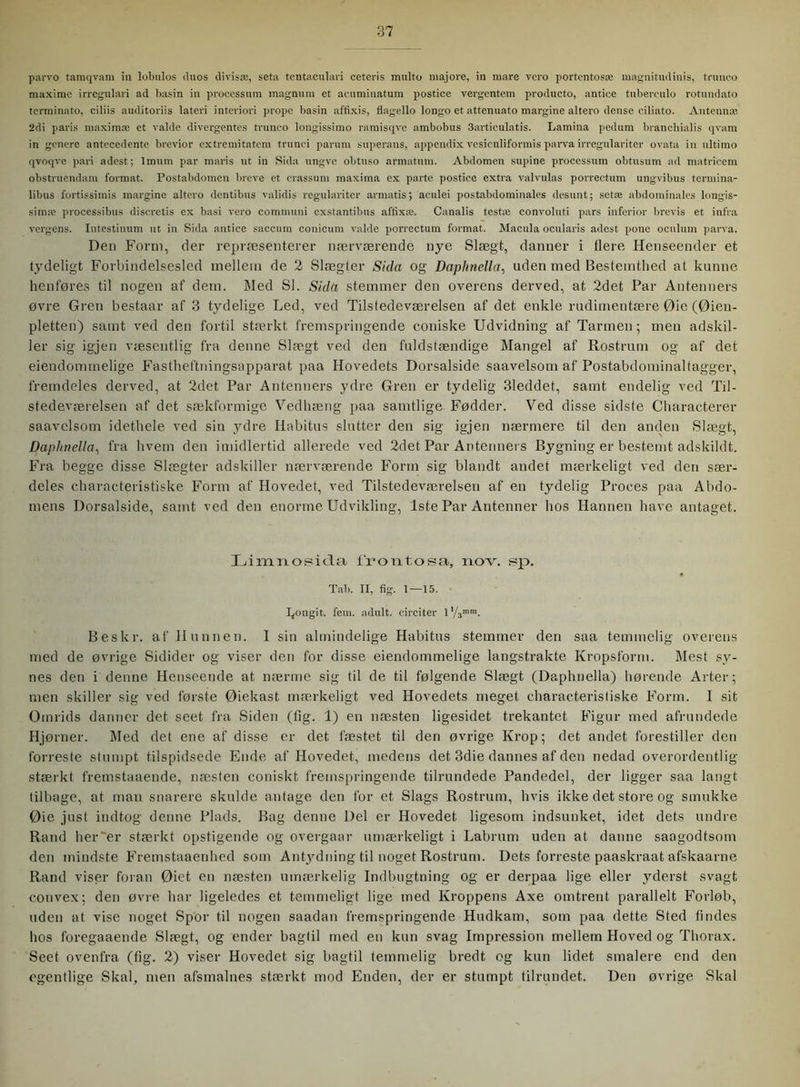 parvo tamqvam in lobnlos duos divisæ, seta tentaculari ceteris multo majore, in mare vero portentosæ magnitudinis, trunco maxime irregulari ad basin in processum magnum et acuminatum postice vergentcm producto, antiee tuberculo rotundato terminato, ciliis auditoriis lateri interiori propc basin affixis, flagello longo et attenuato margine altero dense ciliato. Antennæ 2di paris maximæ et valdc divergentes trunco longissimo ramisqve ambobus 3articulatis. Lamina pedum branchialis qvam in genere antccedente brevior extremitntem trunci parum superans, appendix vesiculiformis parva irregulariter ovata in ultimo qvoqvc pari adest; lmum par maris ut in Sida ungve obtuso armatum. Abdomen supine processum obtusum ad matricem obstniendam format. Postabdomcn breve et crassum maxima ex parte postice extra valvulas porrectum ungvibus termina- libus fortissimis margine altero dentibus validis regulariter armatis; aculei postabdotninales desunt; setæ abdominales longis- siinæ processibus discretis ex basi vero cominuni exstantibus affixæ. Canalis testæ convoluti pars inferior brevis et infra vergens. Intestinum ut in Sida antiee saccum conicum valde porrectum format. Macula ocularis adest pone oculum parva. Den Form, der repræsenterer nærværende nye Slægt, danner i flere Henseender et tydeligt Forbindelsesled mellem de 2 Slægter Sida og Daphnella, uden med Bestemthed at kunne henføres til nogen af dem. Med SI. Sida stemmer den overens derved, at 2det Par Antenners øvre Gren bestaar af 3 tydelige Led, ved Tilstedeværelsen af det enkle rudimentære Øie (Øien- pletten) samt ved den fortil stærkt fremspringende coniske Udvidning af Tarmen; men adskil- ler sig igjen væsentlig fra denne Slægt ved den fuldstændige Mangel af Rostrum og af det ejendommelige Fastheftningsapparat paa Hovedets Dorsalside saavelsoui af Postabdominaltagger, fremdeles derved, at 2det Par Antenners ydre Gren er tydelig 31eddet, samt endelig ved Til- stedeværelsen af det sækformige Vedhæng paa samtlige Fødder. Ved disse sidste Characterer saavclsom idethele ved sin ydre Habitus slutter den sig igjen nærmere til den anden Slægt, Daphnella, fra hvem den imidlertid allerede ved 2det Par Antenners Bygning er bestemt adskildt. Fra begge disse Slægter adskiller nærværende Form sig blandt andet mærkeligt ved den sær- deles characteristiske Form af Hovedet, ved Tilstedeværelsen af en tydelig Proces paa Abdo- mens Dorsalside, samt ved den enorme Udvikling, 1ste Par Antenner hos Hannen have antaget. Limnosida frontosa, nov. sp. Tab. II, fig. 1—15. bongit. fem. adult. circiter 1 '/3mrn. Beskr. af Hunnen. I sin almindelige Habitus stemmer den saa temmelig overens med de øvrige Sidider og viser den for disse eiendommelige langstrakte Kropsform. Mest sy- nes den i denne Henseende at nærme sig til de til følgende Slægt (Daphnella) hørende Arter; men skiller sig ved første Øiekast mærkeligt ved Hovedets meget characteristiske Form. I sit Omrids danner det seet fra Siden (fig. 1) en næsten ligesidet trekantet Figur med afrundede Hjørner. Med det ene af disse er det fæstet til den øvrige Krop; det andet forestiller den forreste stumpt tilspidsede Ende af Hovedet, medens det 3die dannes af den nedad overordentlig stærkt fremstaaende, næsten eoniskt fremspringende tilrundede Pandedel, der ligger saa langt tilbage, at man snarere skulde antage den for et Slags Rostrum, hvis ikke det store og smukke Øie just indtog denne Plads. Bag denne Del er Hovedet ligesom indsunket, idet dets undre Rand her'er stærkt opstigende og overgear umærkeligt i Labrum uden at danne saagodtsom den mindste Fremstaaenhed som Antydning til noget Rostrum. Dets forreste paaskraat afskaarne Rand viser foran Øiet en næsten umærkelig Indbugtning og er derpaa lige eller yderst svagt convex; den øvre har ligeledes et temmeligt lige med Kroppens Axe omtrent parallelt Forløb, uden at vise noget Spor til nogen saadan fremspringende Hudkam, som paa dette Sted findes hos foregaaende Slægt, og ender bagtil med en kun svag Impression mellem Hoved og Thorax. Seet ovenfra (fig. 2) viser Hovedet sig bagtil temmelig bredt og kun lidet smalere end den egentlige Skal, men afsmalnes stærkt mod Enden, der er stumpt tilrundet. Den øvrige Skal