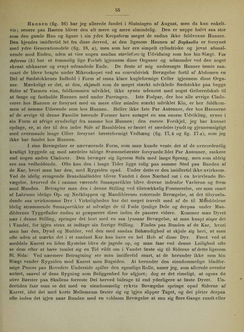 Hannen (fig. 16) har jeg allerede fundet i Slutningen af August, men da kun enkelt- vis; senere paa Høsten bliver den alt mere og mere almindelig. Den er neppe halvt saa stor som den gamle Hun og ligner i sin ydre Kropsform meget de endnu ikke fuldvoxne Hunner. Den kjendes imidlertid let fra disse derved, at den ligesom Hannen af Daphnella er forsynet med ydre Generationsdele (fig. 18, o), men som her ere simpelt cylindriske og jevnt afsmal- nende mod Enden, uden at vise nogen saadan støvlefort’dg Udvidning som hos hin Slægt. Vns deferens (6) har et temmelig lige Forløb igjennem disse Organer og udmunder ved den noget skraat afskaarne og svagt udrandede Ende. De fleste af mig undersøgte Hanner tømte saa- snart de bleve bragte under Mikroskopet ved en convulsivisk Bevægelse fortil af Abdomen en Del af Sædstokkenes Indhold i Form af smaa klare kugleformige Celler igjennem disse Orga- ner. Mærkeligt er det, at den, skjøndt som de meget stærkt udviklede Sædstokke paa begge Sider af Tarmen vise, fuldkommen udviklet, ikke synes udrustet med noget Griberedskab til at fange og fastholde Hunnen med under Parringen. 1ste Fodpar, der hos alle øvrige Clado- cerer hos Hannen er forsynet med en mere eller mindre stærkt udviklet Klo, er her fuldkom- men af samme Udseende som hos Hunnen. Heller ikke 1ste Par Antenner, der hos Hannerne af de øvrige til denne Familie hørende Former have antaget en saa enorm Udvikling, synes i sin Form at afvige synderligt fra samme hos Hunnen; den eneste Forskjel, jeg har kunnet opdage, er, at der til den indre Side af Basaldelen er fæstet et særdeles tyndt og gjennemsigtigt med overmaade lange Cilier forsynet børsteformigt Vedhæng (fig. 17, b og fig. 17 n), som jeg ikke har fundet hos Hunnen. I sine Bevægelser er nærværende Form, som man kunde vente det af de overordentlig kraftigt byggede og med særdeles talrige Svømmebørster forsynede 2det Par Antenner, raskere end nogen anden Cladocer. Den bevæger sig ligesom Sida med lange Sprang, men som aldrig ere saa vedholdende. Ofte kan den i lange Tider ligge rolig paa samme Sted paa Bunden af de Kar, hvori man har den, med Rygsiden opad. Under dette er den imidlertid ikke uvirksom. Ved de idelig svingende Branchialfødder bliver Vandet i dens Nærhed sat i en hvirvlende Be- vægelse, hvorved de i samme værende Smaapartikler blive drevne indenfor Vavlerne og frem mod Munden. Betragter man den i denne Stilling ved tilstrækkelig Forstørrelse, ser man snart af Labrums idelige Op- og Nedklappen og Mandiblernes roterende Bevægelse, at det tilsynela- dende saa uvirksomme Dyr i Virkeligheden har det meget travelt med af de til Munddelene idelig strømmende Smaapartikler at udvælge de til Føde tjenjige Dele og derpaa under Man- diblernes Tyggeflader endnu at præparere disse inden de passere videre. Kommer man Dyret nær i denne Stilling, springer det bort med en saa lynsnar Bevægelse, at man knapt øinjer det i Vandet, for igjen stråx at indtage sin forrige Stilling. Findes paa Bunden af de Kar, hvori man har den, Djmd og Mudder, ved den med saadan Behændighed at skjule sig heri, at man ofte uden at mærke det i et saadant Kar kan have en hel Hob af disse Dyr. Først ved at meddele Karret en liden Rystelse blive de jagede op, og man faar ved denne Ledighed ofte se dem efter at have tumlet sig en Tid vildt om i Vandet fæste sig til Siderne af dette ligesom SI. Sida: Ved nærmere Betragtning ser man imidlertid snart, at de herunder ikke som hin Slægt vender Rygsiden mod Karret men Bugsiden. At herunder den eiendommelige bladfor- inige Proces paa Hovedets Underside spiller den egentlige Rolle, anser jeg, som allerede ovenfor anført, saavel af dens Bygning som Beliggenhed for afgjort; dog er det rimeligt, at ogsaa de stive Børster paa Skallens forreste Del herved bidrage til end yderligere at fæste Dyret. Un- dertiden faar man se det med en eiendommelig rykvis Bevægelse springe opad Siderne af Karret, idet det med korte Mellemrum fæster sig og igjen slipper Taget, og det pleier derpaa ofte inden det igjen naar Bunden med en voldsom Bevægelse at snu sig flere Gange rundt eller