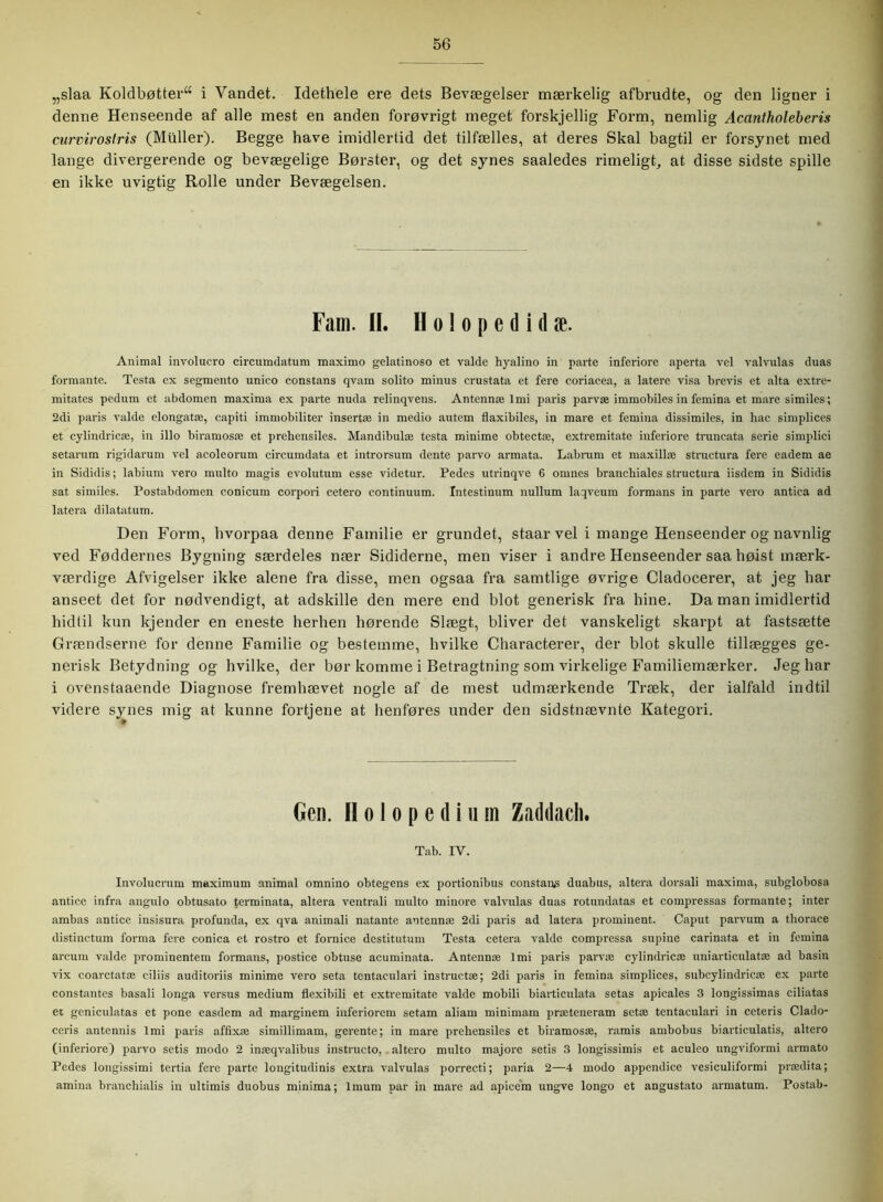 „slaa Koldbøtter“ i Vandet. Idethele ere dets Bevægelser mærkelig afbrudte, og den ligner i denne Henseende af alle mest en anden forøvrigt meget forskjellig Form, nemlig Acantholeberis curvirostris (Muller). Begge have imidlertid det tilfælles, at deres Skal bagtil er forsynet med lange divergerende og bevægelige Børster, og det synes saaledes rimeligt, at disse sidste spille en ikke uvigtig Rolle under Bevægelsen. Fam. II. II o 1 o p e d i d æ. Animal involucro circumdatum maximo gelatinoso et valde hyalino in parte inferiore aperta vel valvulas duas formante. Testa ex segmento unico constans qvam solito minus crustata et fere coriacea, a latere visa brevis et alta extre- mitates pedum et abdomen maxima ex parte nuda relinqvens. Antennæ 1 mi paris parvæ immobiles in femina et mare similes; 2di paris valde elongatæ, capiti immobiliter insertæ in medio autem flaxibiles, in mare et femina dissimiles, in hac simplices et cylindricæ, in illo biramosæ et prehensiles. Mandibulæ testa minime obtectæ, extremitate inferiore truncata serie simplici setarum rigidarum vel acoleorum circumdata et introrsum dente parvo armata. Lab rum et maxillæ structura fere eadem ae in Sididis; labium vero multo magis evolutum esse videtur. Pedes utrinqve 6 omnes brancbiales structura iisdem in Sididis sat similes. Postabdomen conicum corpori cetero continuum. Intestinum nullum laqveum formans in parte vero antiea ad latera dilatatum. Den Form, hvorpaa denne Familie er grundet, staar vel i mange Henseender og navnlig ved Føddernes Bygning særdeles nær Sididerne, men viser i andre Henseender saa høist mærk- værdige Afvigelser ikke alene fra disse, men ogsaa fra samtlige øvrige Cladocerer, at jeg har anseet det for nødvendigt, at adskille den mere end blot generisk fra hine. Da man imidlertid hidtil kun kjender en eneste herhen hørende Slægt, bliver det vanskeligt skarpt at fastsætte Grændserne for denne Familie og bestemme, hvilke Characterer, der blot skulle tillægges ge- nerisk Betydning og hvilke, der bør komme i Betragtning som virkelige Familiemærker. Jeg har i ovenstaaende Diagnose fremhævet nogle af de mest udmærkende Træk, der ialfald indtil videre synes mig at kunne fortjene at henføres under den sidstnævnte Kategori. Gen. Holopedium Zaddach. Tab. IV. Involucrum maximum animal omnino obtegens ex portionibus constans duabus, altera dorsali maxima, subglobosa antice infra angulo obtusato terminata, altera ventrali multo minore valvulas duas rotundatas et compressas formante; inter ambas antice insisura profunda, ex qva animali natante antennæ 2di paris ad latera prominent. Caput parvum a thorace distinctum forma fere conica et rostro et fornice destitutum Testa cetera valde compressa supine carinata et in femina arcum valde prominentem formans, postice obtuse acuminata. Antennæ lmi paris parvæ cylindricæ uniarticulatæ ad basin vix coarctatæ ciliis auditoriis minime vero seta tentaculari instructæ; 2di paris in femina simplices, subcylindricæ ex parte constantes basali longa versus medium flexibili et extremitate valde mobili biarticulata setas apicales 3 longissimas ciliatas et geniculatas et pone easdem ad marginem inferiorem setam aliam minimam præteneram setæ tentaculari in ceteris Clado- ceris antennis lmi paris affixæ similiimam, gcrente; in mare prehensiles et biramosæ, ramis ambobus biarticulatis, altero (inferiore) parvo setis modo 2 inæqvalibus instructo, altero multo majore setis 3 longissimis et aculeo ungviformi armato Pedes longissimi tertia fere parte longitudinis extra valvulas porrecti; paria 2—4 modo appendice vesiculil'ormi prædita; amina branchialis in ultimis duobus minima; lmum par in mare ad apicem ungve longo et angustato armatum. Postab-
