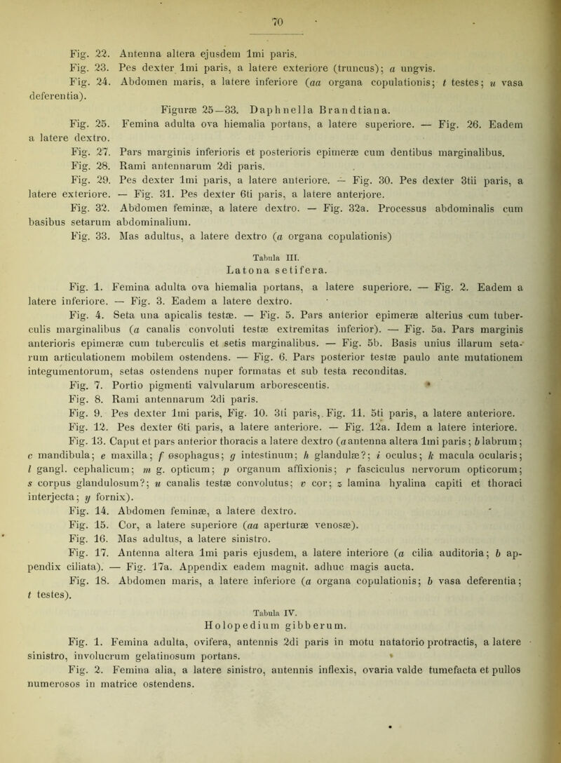 Fig. 22. Fig. 23. Fig. 24. deferentia). Fig. 25. a latere dextro. Fig. 27. Fig. 28. Fig. 29. latere exteriore. Fig. 32. basibus setarum Fig. 33. Antenna altera ejusdem lmi paris. Pes dexter lmi paris, a latere exteriore (truncus); a ungvis. Abdomen maris, a latere inferiore (aa organa copulationis; t testes; u vasa Figuræ 25—33. Daphnella Brandtiana. Femina adulta ova hiemalia portans, a latere superiore. — Fig. 26. Eadem Pars marginis inferioris et posterioris epimeræ cum dentibus marginalibus. Rami antennarum 2di paris. Pes dexter lmi paris, a latere anteriore. — Fig. 30. Pes dexter 3tii paris, a — Fig. 31. Pes dexter 6ti paris, a latere anteriore. Abdomen feminæ, a latere dextro. — Fig. 32a. Processus abdominalis cum abdominalium. Mas adultus, a latere dextro (a organa copulationis) Tabula III. Latona setifera. Fig. 1. Femina adulta ova hiemalia portans, a latere superiore. — Fig. 2. Eadem a latere inferiore. — Fig. 3. Eadem a latere dextro. Fig. 4. Seta una apicalis testæ. — Fig. 5. Pars anterior epimeræ alterius cum tuber- culis marginalibus (a canalis convoluti testæ extremitas inferior). — Fig. 5a. Pars marginis anterioris epimeræ cum tuberculis et setis marginalibus. — Fig. 5b. Basis unius illarum seta- rum articulationem mobilem ostendens. — Fig. 6. Pars posterior testæ paulo ante mutationem integumentorum, setas ostendens nuper formatas et sub testa reconditas. Fig. 7. Portio pigmenti valvularum arborescentis. * Fig. 8. Rami antennarum 2di paris. Fig. 9. Pes dexter lmi paris, Fig. 10. 3ti paris,. Fig. 11. 5ti paris, a latere anteriore. Fig. 12. Pes dexter 6ti paris, a latere anteriore. — Fig. 12a. Idem a latere interiore. Fig. 13. Caput et pars anterior thoracis a latere dextro (aantenna altera lmi paris ; b labrum; c mandibula; e maxilla; f øsophagus; g intestinum; h glandulæ?; i oculus; k macula ocularis; / gangl. cephalicum; m g. opticum; p organum affixionis; i- fasciculus nervorum opticorum; s corpus glandulosum?; u canalis testæ convolutus; v cor; s lamina hyalina capiti et thoraci interjecta; y fornix). Fig. 14. Abdomen feminæ, a latere dextro. Fig. 15. Cor, a latere superiore (aa aperturæ venosæ). Fig. 16. Mas adultus, a latere sinistro. Fig. 17. Antenna altera lmi paris ejusdem, a latere interiore (a cilia auditoria; b ap- pendix ciliata). — Fig. 17a. Appendix eadem magnit. adhuc magis aucta. Fig. 18. Abdomen maris, a latere inferiore (a organa copulationis; b vasa deferentia; t testes). Tabula IV. Holopedium gibberum. Fig. 1. Femina adulta, ovifera, antennis 2di paris in motu natatorio protractis, a latere sinistro, involucrutn gelatinosum portans. Fig. 2. Femina alia, a latere sinistro, antennis inflexis, ovaria valde tumefacta et pullos numerosos in matrice ostendens.