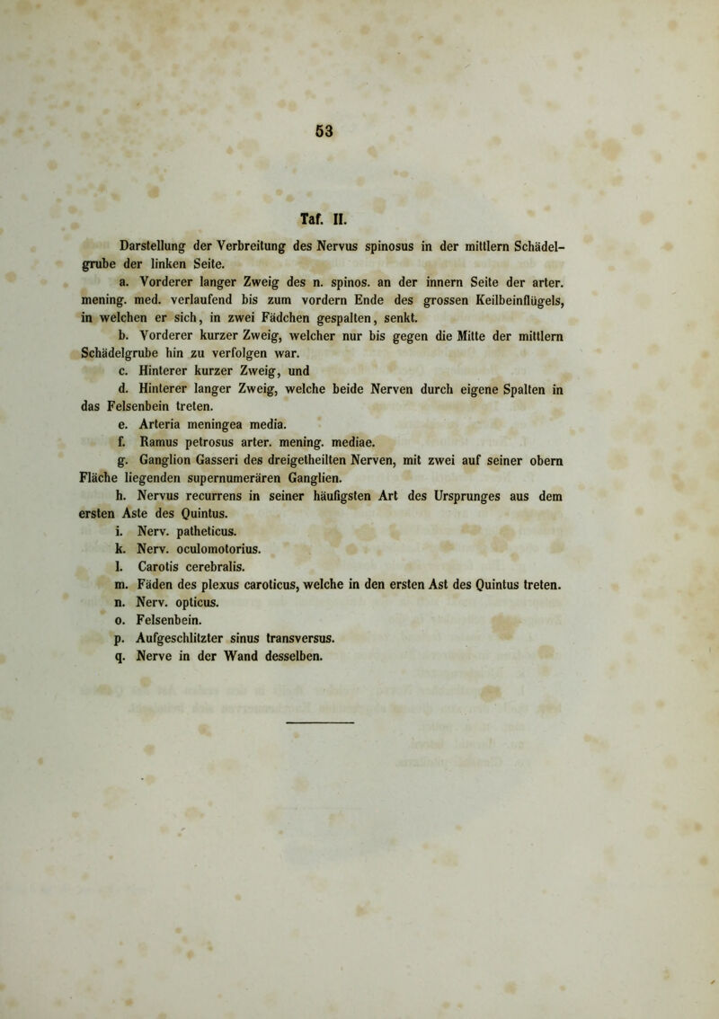 Taf. II. Darstellung der Verbreitung des Nervus spinosus in der mittlern Schädel- grube der linken Seite. a. Vorderer langer Zweig des n. spinös, an der innern Seite der arter. mening. med. verlaufend bis zum vordem Ende des grossen Keilbeinflügels, in welchen er sich, in zwei Fädchen gespalten, senkt. b. Vorderer kurzer Zweig, welcher nur bis gegen die Mitte der mittlern Schädelgrube hin zu verfolgen war. c. Hinterer kurzer Zweig, und d. Hinterer langer Zweig, welche beide Nerven durch eigene Spalten in das Felsenbein treten. e. Arteria meningea media. f. Ramus petrosus arter. mening. mediae. g. Ganglion Gasseri des dreigetheilten Nerven, mit zwei auf seiner obem Fläche liegenden supernumerären Ganglien. h. Nervus recurrens in seiner häufigsten Art des Ursprunges aus dem ersten Aste des Quintus. i. Nerv, patheticus. k. Nerv, oculomotorius. l. Carotis cerebralis. m. Fäden des plexus caroticus, welche in den ersten Ast des Quintus treten. n. Nerv, opticus. o. Felsenbein. p. Aufgeschlitzter sinus transversus. q. Nerve in der Wand desselben.