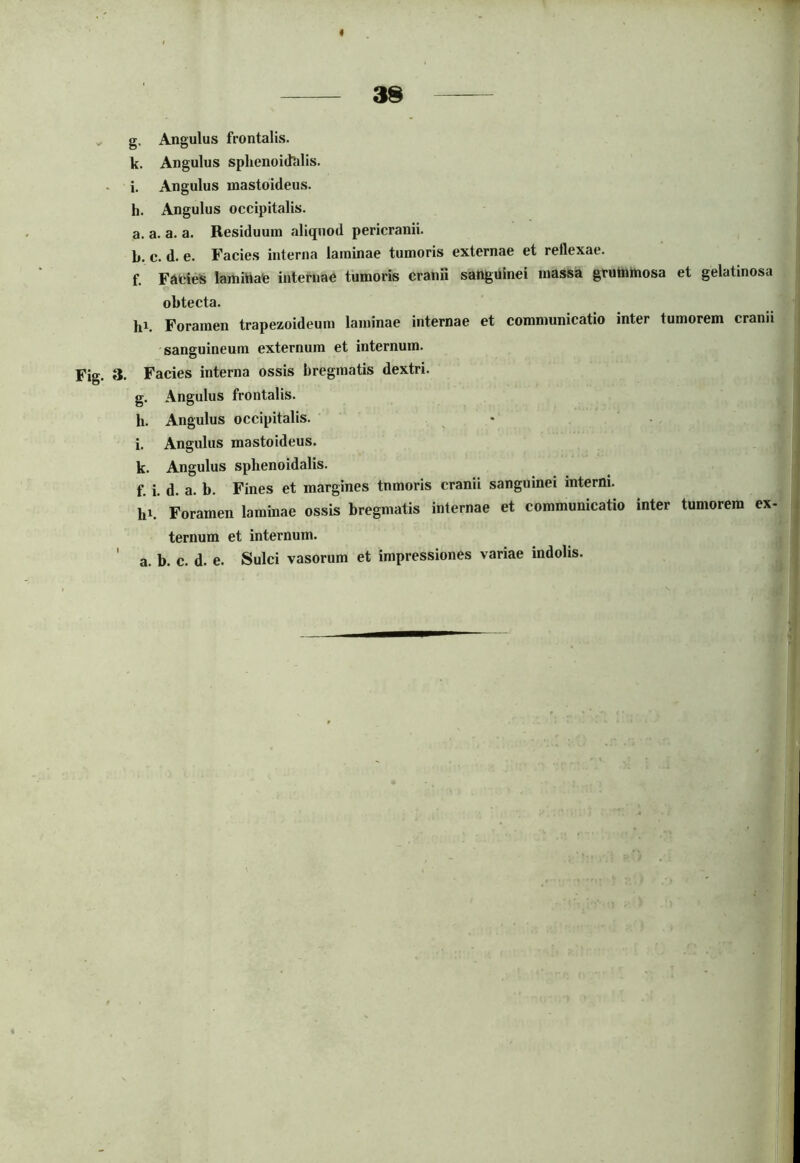 I , Angulus frontalis. . Angulus sphenoidalis, i. Angulus mastoideus, h. Angulus occipitalis. a. a. a. a. Residuum aliquod pericranii. b. c. d. e. Facies interna laminae tumoris externae et reflexae. f. Facies lamittate internae tumoris cranii sanguinei massa gruuimosa et gelatinosa obtecta. hh Foramen trapezoideum laminae internae et communicatio inter tumorem cranii sanguineum externum et internum. Fig. 3. Facies interna ossis bregmatis dextri. g. Angulus frontalis. h. Angulus occipitalis. i. Angulus mastoideus, k. Angulus sphenoidalis. f. i. d. a. b. Fines et margines tnmoris cranii sanguinei interni, hh Foramen laminae ossis bregmatis internae et communicatio inter tumorem ex- ternum et internum. ' a. b. c. d. e. Sulci vasorum et impressiones variae indolis.
