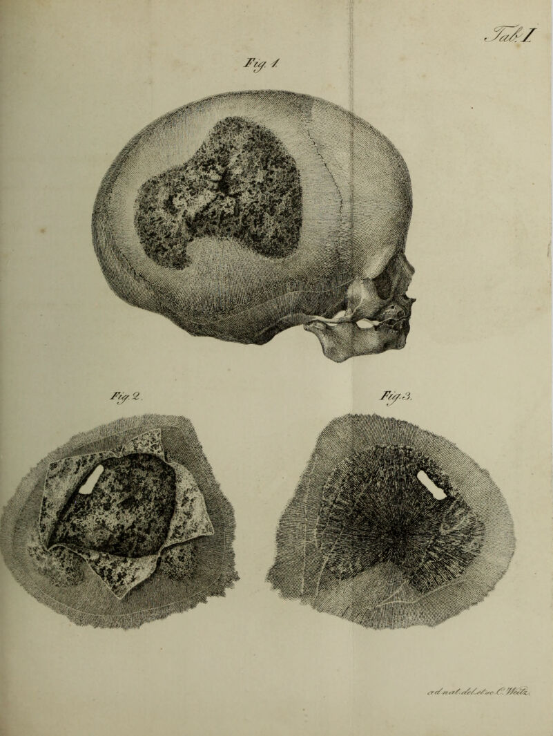 trr/s> erY. Y' '///•sYz.
