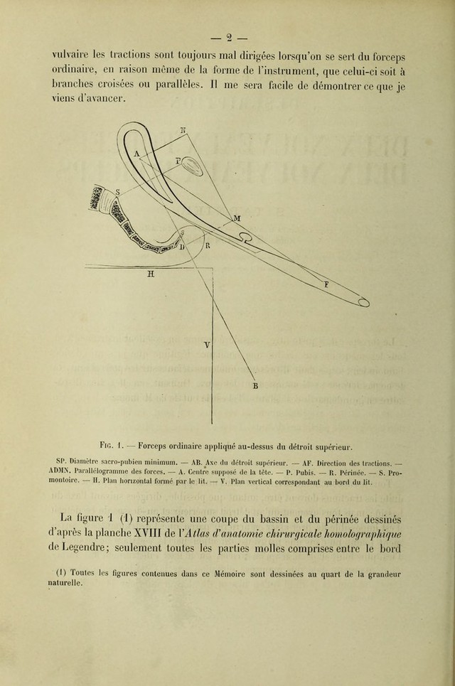 digitised image 2