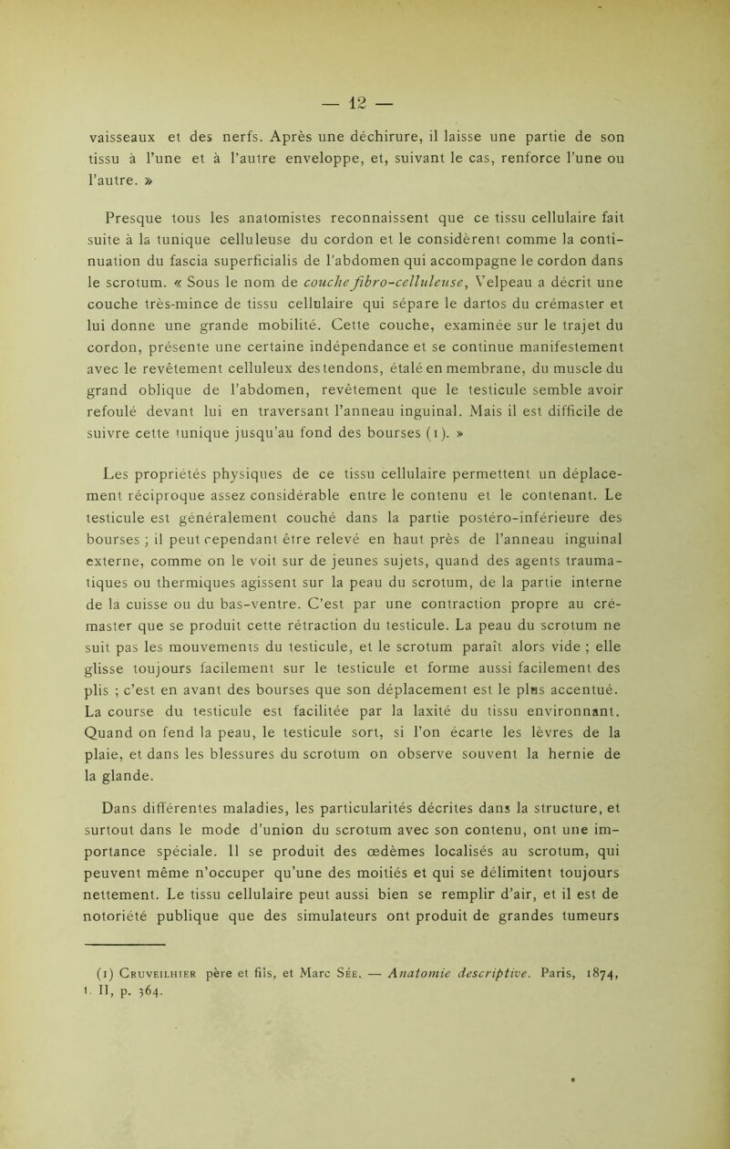 vaisseaux et des nerfs. Après une déchirure, il laisse une partie de son tissu à l’une et à l’autre enveloppe, et, suivant le cas, renforce l’une ou l’autre. » Presque tous les anatomistes reconnaissent que ce tissu cellulaire fait suite à la tunique celluleuse du cordon et le considèrent comme la conti- nuation du fascia superficialis de l'abdomen qui accompagne le cordon dans le scrotum. « Sous le nom de couche fibro-celluleuse, Velpeau a décrit une couche très-mince de tissu cellulaire qui sépare le dartos du crémaster et lui donne une grande mobilité. Cette couche, examinée sur le trajet du cordon, présente une certaine indépendance et se continue manifestement avec le revêtement celluleux des tendons, étalé en membrane, du muscle du grand oblique de l’abdomen, revêtement que le testicule semble avoir refoulé devant lui en traversant l’anneau inguinal. Mais il est difficile de suivre cette tunique jusqu’au fond des bourses (i). » Les propriétés physiques de ce tissu cellulaire permettent un déplace- ment réciproque assez considérable entre le contenu et le contenant. Le testicule est généralement couché dans la partie postéro-inférieure des bourses ; il peut cependant être relevé en haut près de l’anneau inguinal externe, comme on le voit sur de jeunes sujets, quand des agents trauma- tiques ou thermiques agissent sur la peau du scrotum, de la partie interne de la cuisse ou du bas-ventre. C’est par une contraction propre au cré- master que se produit cette rétraction du testicule. La peau du scrotum ne suit pas les mouvements du testicule, et le scrotum paraît alors vide ; elle glisse toujours facilement sur le testicule et forme aussi facilement des plis ; c’est en avant des bourses que son déplacement est le plus accentué. La course du testicule est facilitée par la laxité du tissu environnant. Quand on fend la peau, le testicule sort, si l’on écarte les lèvres de la plaie, et dans les blessures du scrotum on observe souvent la hernie de la glande. Dans différentes maladies, les particularités décrites dans la structure, et surtout dans le mode d’union du scrotum avec son contenu, ont une im- portance spéciale. 11 se produit des œdèmes localisés au scrotum, qui peuvent même n’occuper qu’une des moitiés et qui se délimitent toujours nettement. Le tissu cellulaire peut aussi bien se remplir d’air, et il est de notoriété publique que des simulateurs ont produit de grandes tumeurs (i) Cruveilhier père et fils, et Marc Sée. — Anatomie descriptive. Paris, 1874 t. Il, p. 364.