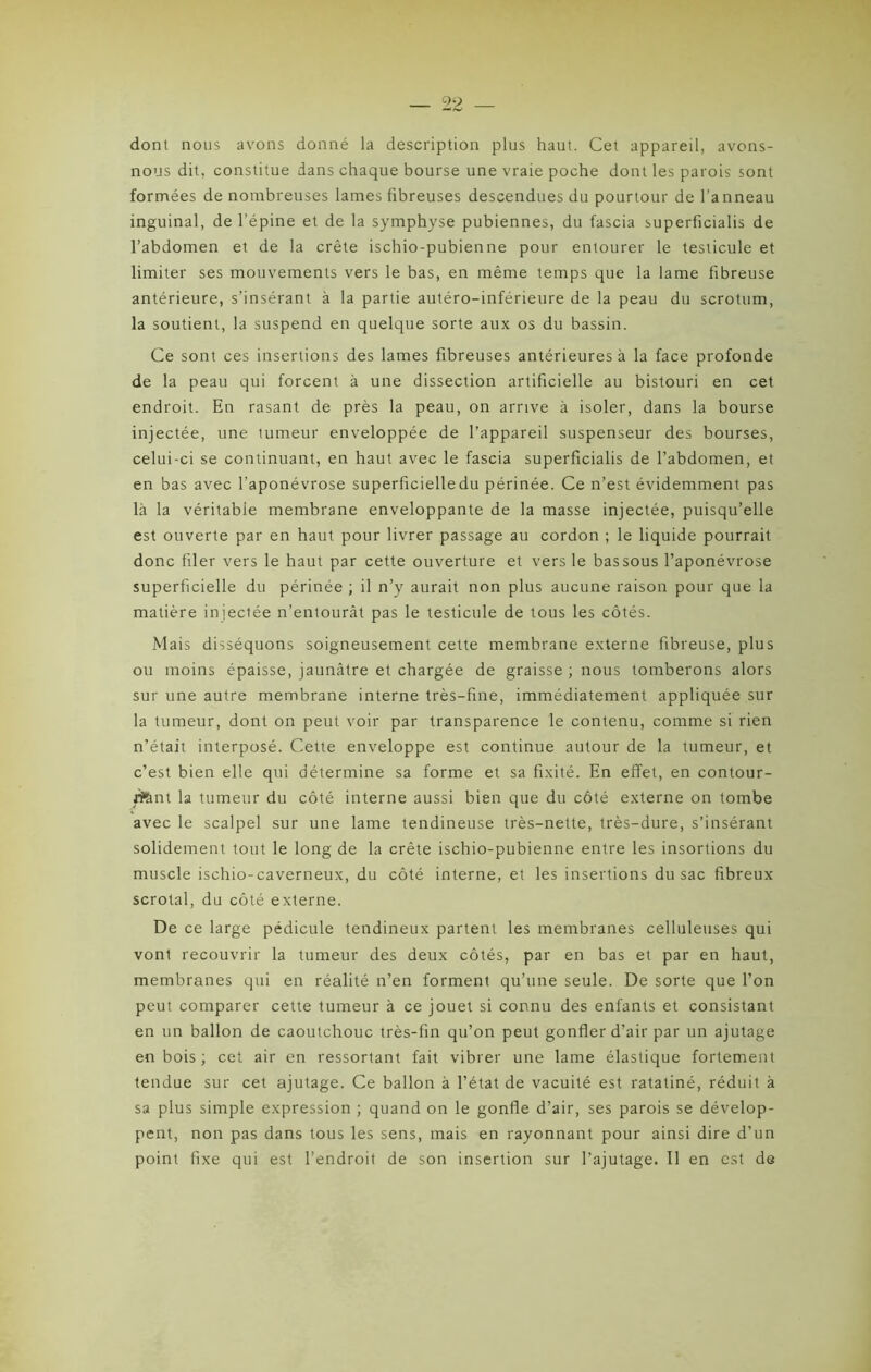 dont nous avons donné la description plus haut. Cet appareil, avons- nous dit, constitue dans chaque bourse une vraie poche dont les parois sont formées de nombreuses lames fibreuses descendues du pourtour de l’a nneau inguinal, de l’épine et de la symphyse pubiennes, du fascia superficialis de l’abdomen et de la crête ischio-pubienne pour entourer le testicule et limiter ses mouvements vers le bas, en même temps que la lame fibreuse antérieure, s’insérant à la partie autéro-inférieure de la peau du scrotum, la soutient, la suspend en quelque sorte aux os du bassin. Ce sont ces insertions des lames fibreuses antérieures à la face profonde de la peau qui forcent à une dissection artificielle au bistouri en cet endroit. En rasant de près la peau, on arrive à isoler, dans la bourse injectée, une tumeur enveloppée de l’appareil suspenseur des bourses, celui-ci se continuant, en haut avec le fascia superficialis de l’abdomen, et en bas avec l'aponévrose superficielle du périnée. Ce n’est évidemment pas là la véritable membrane enveloppante de la masse injectée, puisqu’elle est ouverte par en haut pour livrer passage au cordon ; le liquide pourrait donc filer vers le haut par cette ouverture et vers le bassous l’aponévrose superficielle du périnée ; il n’y aurait non plus aucune raison pour que la matière injectée n’entourât pas le testicule de tous les côtés. Mais disséquons soigneusement cette membrane externe fibreuse, plus ou moins épaisse, jaunâtre et chargée de graisse ; nous tomberons alors sur une autre membrane interne très-fine, immédiatement appliquée sur la tumeur, dont on peut voir par transparence le contenu, comme si rien n’était interposé. Cette enveloppe est continue autour de la tumeur, et c’est bien elle qui détermine sa forme et sa fixité. En effet, en contour- rihnt la tumeur du côté interne aussi bien que du côté externe on tombe avec le scalpel sur une lame tendineuse très-nette, très-dure, s’insérant solidement tout le long de la crête ischio-pubienne entre les insortions du muscle ischio-caverneux, du côté interne, et les insertions du sac fibreux scrotal, du côté externe. De ce large pédicule tendineux partent les membranes celluleuses qui vont recouvrir la tumeur des deux côtés, par en bas et par en haut, membranes qui en réalité n’en forment qu’une seule. De sorte que l’on peut comparer cette tumeur à ce jouet si connu des enfants et consistant en un ballon de caoutchouc très-fin qu’on peut gonfler d’air par un ajutage en bois ; cet air en ressortant fait vibrer une lame élastique fortement tendue sur cet ajutage. Ce ballon à l’état de vacuité est ratatiné, réduit à sa plus simple expression ; quand on le gonfle d’air, ses parois se dévelop- pent, non pas dans tous les sens, mais en rayonnant pour ainsi dire d’un point fixe qui est l’endroit de son insertion sur l’ajutage. Il en est de