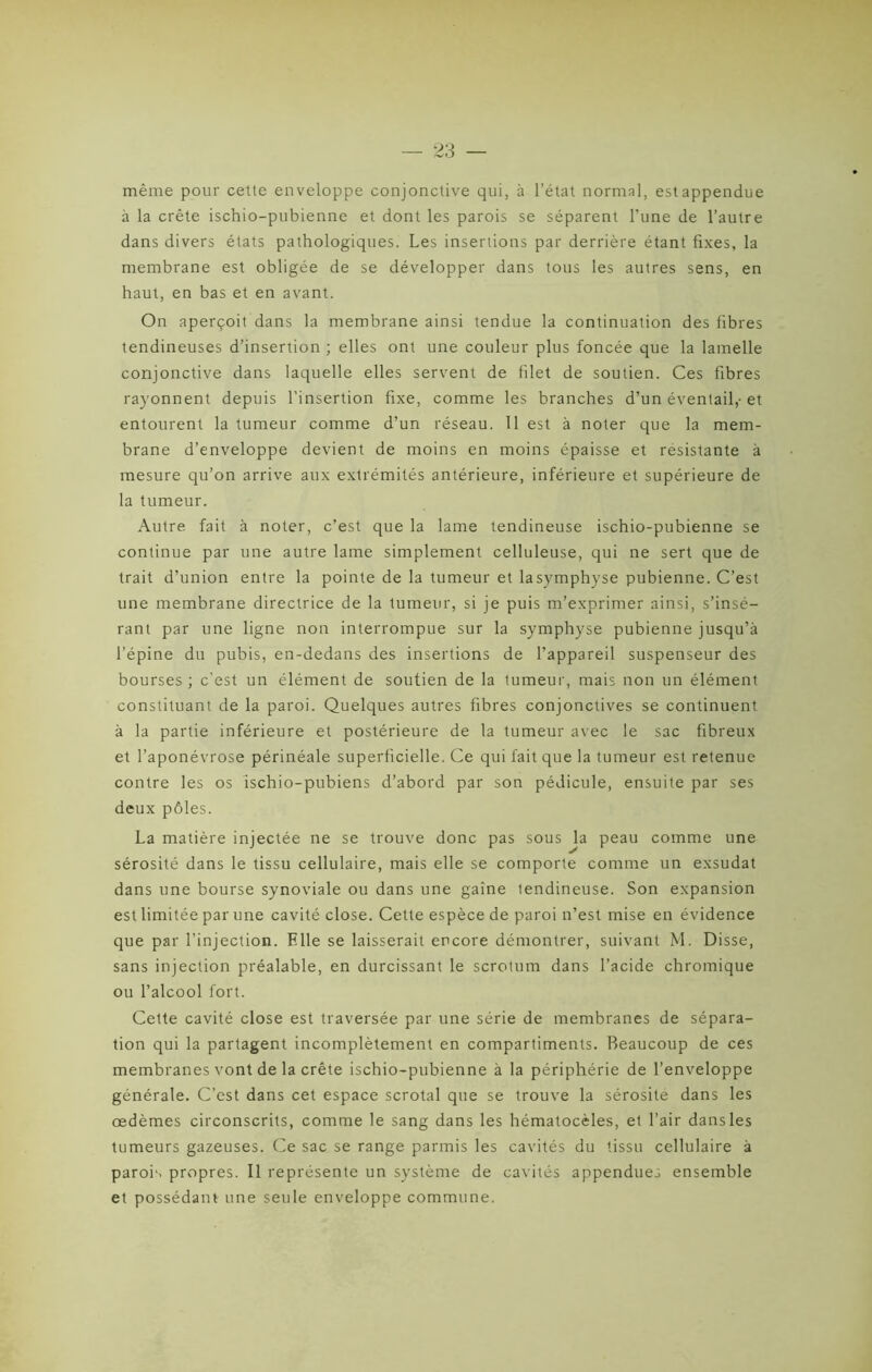 même pour cette enveloppe conjonctive qui, à l’état normal, estappendue à la crête ischio-pubienne et dont les parois se séparent l’une de l’autre dans divers états pathologiques. Les insertions par derrière étant fixes, la membrane est obligée de se développer dans tous les autres sens, en haut, en bas et en avant. On aperçoit dans la membrane ainsi tendue la continuation des fibres tendineuses d’insertion ; elles ont une couleur plus foncée que la lamelle conjonctive dans laquelle elles servent de filet de soutien. Ces fibres rayonnent depuis l’insertion fixe, comme les branches d’un éventail,- et entourent la tumeur comme d’un réseau. 11 est à noter que la mem- brane d’enveloppe devient de moins en moins épaisse et résistante à mesure qu’on arrive aux extrémités antérieure, inférieure et supérieure de la tumeur. Autre fait à noter, c’est que la lame tendineuse ischio-pubienne se continue par une autre lame simplement celluleuse, qui ne sert que de trait d’union entre la pointe de la tumeur et lasymphyse pubienne. C’est une membrane directrice de la tumeur, si je puis m’exprimer ainsi, s’insé- rant par une ligne non interrompue sur la symphyse pubienne jusqu’à l’épine du pubis, en-dedans des insertions de l’appareil suspenseur des bourses; c'est un élément de soutien de la tumeur, mais non un élément constituant de la paroi. Quelques autres fibres conjonctives se continuent à la partie inférieure et postérieure de la tumeur avec le sac fibreux et l’aponévrose périnéale superficielle. Ce qui fait que la tumeur est retenue contre les os ischio-pubiens d’abord par son pédicule, ensuite par ses deux pôles. La matière injectée ne se trouve donc pas sous la peau comme une sérosité dans le tissu cellulaire, mais elle se comporte comme un exsudât dans une bourse synoviale ou dans une gaine lendineuse. Son expansion est limitée par une cavité close. Cette espèce de paroi n’est mise en évidence que par l’injection. Elle se laisserait encore démontrer, suivant M. Disse, sans injection préalable, en durcissant le scrotum dans l’acide chromique ou l’alcool fort. Cette cavité close est traversée par une série de membranes de sépara- tion qui la partagent incomplètement en compartiments. Beaucoup de ces membranes vont de la crête ischio-pubienne à la périphérie de l’enveloppe générale. C’est dans cet espace scrotal que se trouve la sérosité dans les œdèmes circonscrits, comme le sang dans les hématocèles, et l’air dans les tumeurs gazeuses. Ce sac se range parmis les cavités du tissu cellulaire à parois propres. Il représente un système de cavités appendues ensemble et possédant une seule enveloppe commune.