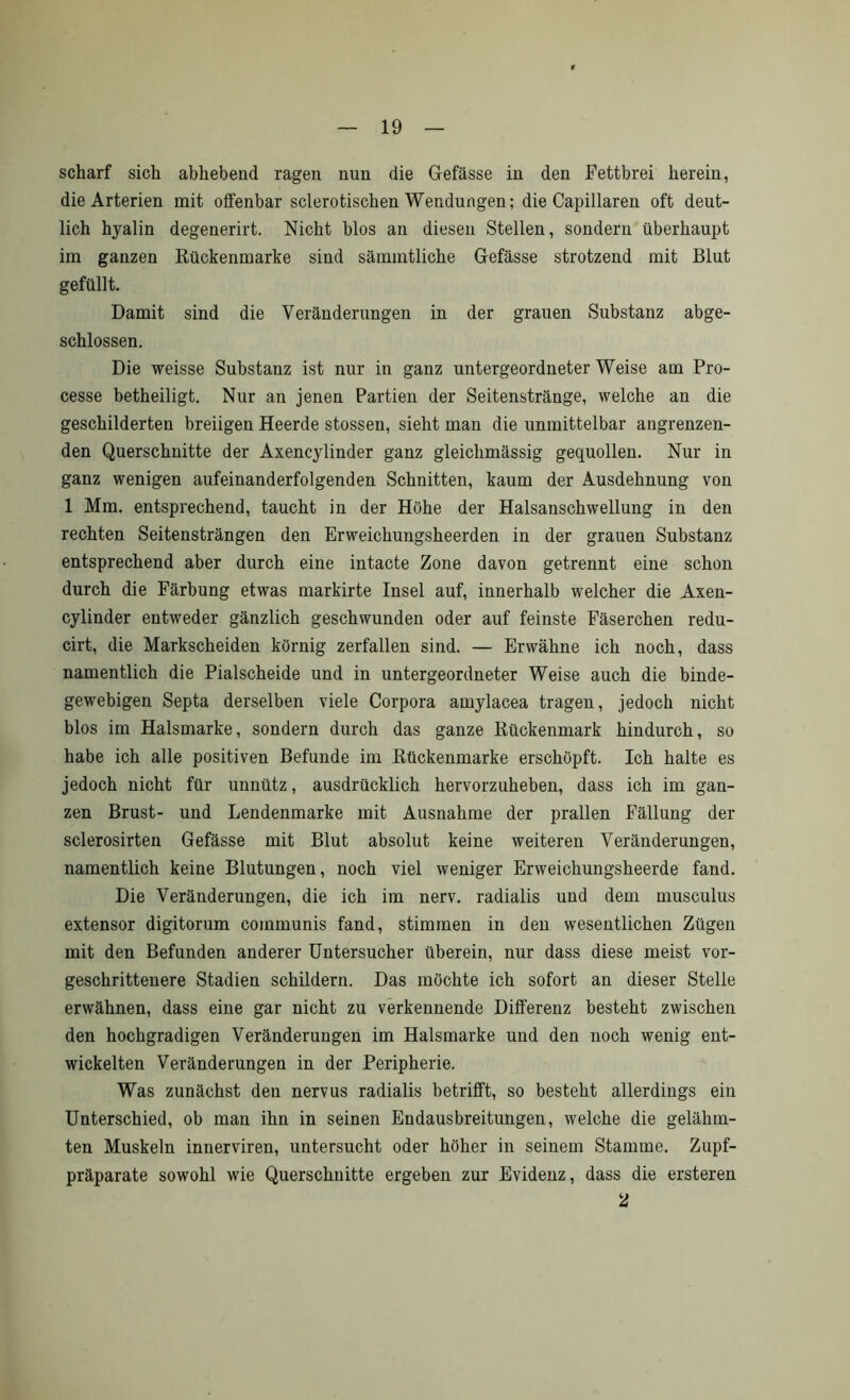 scharf sich abhebend ragen nun die Gefässe in den Pettbrei herein, die Arterien mit oifenbar sclerotischen Wendungen; die Capillaren oft deut- lich hyalin degenerirt. Nicht blos an diesen Stellen, sondern überhaupt im ganzen Kückenmarke sind sämmtliche Gefässe strotzend mit Blut gefüllt. Damit sind die Veränderungen in der grauen Substanz abge- schlossen. Die weisse Substanz ist nur in ganz untergeordneter Weise am Pro- cesse betheiligt. Nur an jenen Partien der Seitenstränge, welche an die geschilderten breiigen Heerde stossen, sieht man die unmittelbar angrenzen- den Querschnitte der Axencylinder ganz gleichmässig gequollen. Nur in ganz wenigen aufeinanderfolgenden Schnitten, kaum der Ausdehnung von 1 Mm. entsprechend, taucht in der Höhe der Halsanschwellung in den rechten Seitensträngen den Erweichungsheerden in der grauen Substanz entsprechend aber durch eine intacte Zone davon getrennt eine schon durch die Färbung etwas markirte Insel auf, innerhalb welcher die Axen- cylinder entweder gänzlich geschwunden oder auf feinste Fäserchen redu- cirt, die Markscheiden körnig zerfallen sind. — Erwähne ich noch, dass namentlich die Pialscheide und in untergeordneter Weise auch die binde- gewebigen Septa derselben viele Corpora amylacea tragen, jedoch nicht blos im Halsmarke, sondern durch das ganze Rückenmark hindnrch, so habe ich alle positiven Befunde im Rtickenmarke erschöpft. Ich halte es jedoch nicht für unnütz, ausdrücklich hervorzuheben, dass ich im gan- zen Brust- und Lendenmarke mit Ausnahme der prallen Fällung der sclerosirten Gefässe mit Blut absolut keine weiteren Veränderungen, namentlich keine Blutungen, noch viel weniger Erweichungsheerde fand. Die Veränderungen, die ich im nerv, radialis und dem musculus extensor digitorum communis fand, stimmen in den wesentlichen Zügen mit den Befunden anderer Untersucher überein, nur dass diese meist vor- geschrittenere Stadien schildern. Das möchte ich sofort an dieser Stelle erwähnen, dass eine gar nicht zu verkennende Dilferenz besteht zwischen den hochgradigen Veränderungen im Halsmarke und den noch wenig ent- wickelten Veränderungen in der Peripherie. Was zunächst den nervus radialis betriflPt, so besteht allerdings ein Unterschied, ob man ihn in seinen Endausbreitungen, welche die gelähm- ten Muskeln innerviren, untersucht oder höher in seinem Stamme. Zupf- präparate sowohl wie Querschnitte ergeben zur Evidenz, dass die ersteren 2