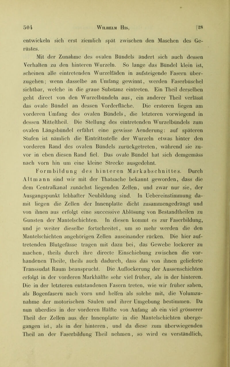 [28 50 i Wilhelm His, entwickeln sich erst ziemlich Sj3ät zwischen den Maschen des Ge- rüstes. Mit der Zunahme des ovalen Bündels ändert sich auch dessen Verhalten zu den hinteren Wurzeln. So lange das Bündel klein ist, scheinen alle eintretenden Wurzelfüden in aufsteigende Fasern über- zugehen; wenn dasselbe an Umfang gewinnt, werden Faserbüschel sichtbar, welche in die graue Substanz eintreten. Ein Theil derselben geht direct von den Wurzelbündeln aus, ein anderer Theil verlässt das ovale Bündel an dessen Vorderfläche. Die ersteren liegen am vorderen Umfang des ovalen Bündels, die letzteren vorwiegend in dessen Mitteltheil. Die Stellung des eintretenden Wurzelbündels zum ovalen Längsbündel erfährt eine gewisse Aenderung: auf späteren Stufen ist nämlich die Eintrittsstelle der Wurzeln etwas hinter den vorderen Rand des ovalen Bündels zurückgetreten, während sie zu- vor in eben diesen Rand fiel. Das ovale Bündel hat sich demgemäss nach vorn hin um eine kleine Strecke ausgedehnt. Formbildung des hinteren Markabschnittes. Durch Altmann sind wir mit der Thatsache bekannt geworden, dass die dem Centralkanal zunächst liegenden Zellen, und zwar nur sie, der Ausgangspunkt lebhafter Neubildung sind. In Uebereinstimmung da- mit liegen die Zellen der Innenplatte dicht zusammengedrängt und von ihnen aus erfolgt eine successive Ablösung von Bestandtheilen zu Gunsten der Mantelschichten. In diesen kommt es zur Faserbildung, und je weiter dieselbe fortschreitet, um so mehr werden die den Mantelschichten angehörigen Zellen auseinander rücken. Die hier auf- tretenden Blutgefässe tragen mit dazu bei, das Gewebe lockerer zu machen, theils durch ihre directe Einschiebung zwischen die vor- handenen Theile, theils auch dadurch, dass das von ihnen gelieferte Transsudat Raum beansprucht. Die Auflockerung der Aussenschichten erfolgt in der vorderen Markhälfte sehr viel früher, als in der hinteren. Die in der letzteren entstandenen Fasern treten, wie wir früher sahen, als Bogenfasern nach vorn und helfen als solche mit, die Volumzu- nahme der motorischen Säulen und ihrer Umgebung bestimmen. Da nun überdies in der vorderen Hälfte von Anfang ab ein viel grösserer Theil der Zellen aus der Innenplalte in die Mantelschichten überge- gangen ist, als in der hinteren, und da diese zum überwiegenden Theil an der Faserbildimg Theil nehmen, so wird es verständlich.