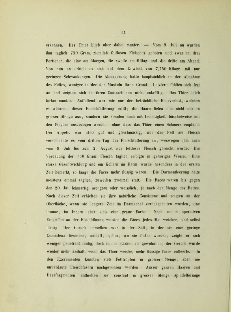 erkennen. Das Thier blieb aber dabei munter. — Vom 9. Juli an wurden ihm täglich 750 Gram, ziemlich fettlosen Fleisches geboten und zwar in drei Portionen, die eine am Morgen, die zweite am Mittag und die dritte am Abend. Von nun an erhielt es sich auf dem Gewicht von 7,750 Kilogr. mit nur geringen Schwankungen. Die Abmagerung hatte hauptsächlich in der Abnahme des Fettes, weniger in der der Muskeln ihren Grund. Letztere fühlten sich fest an und zeigten sich in ihren Contractionen nicht unkräftig. Das Thier blieb fortan munter. Auffallend war mir nur der beträchtliche Haarverlust, welchen es während dieser Fleischfiitterung erlitt; die Haare fielen ihm nicht nur in grosser Menge aus, sondern sie konnten auch mit Leichtigkeit büschelweise mit den Fingern ausgezogen werden, ohne dass das Thier einen Schmerz empfand. Der Appetit war stets gut und gleichmässig; nur das Fett am Fleisch verschmähte es vom dritten Tag der Fleischfütterung an, weswegen ihm auch vom 9. Juli bis zum 2 August nur fettloses Fleisch gereicht wurde. Die Verdauung der 750 Gram Fleisch täglich erfolgte in gehöriger Weise. Eine starke Gasentwicklung und ein Kollern im Darm wurde hesonders in der ersten Zeit bemerkt, so lange die Fäces mehr flüssig waren. Die Darmenlleerung hatte meistens einmal täglich, zuweilen zweimal statt. Die Fäces waren bis gegen den 20. Juli lehmartig, aschgrau oder weisslich, je nach der Menge des Fettes. Nach dieser Zeit erhielten sie ihre natürliche Consistenz und zeigten an der Oberfläche, wenn sie längere Zeit im Darmkanal zurückgehalten wurden, eine braune, im Innern aber stets eine graue Farbe. Nach neuen operativen Eingriffen an der Fistelöffnung wurden die Fäces jedes Mal weicher, und selbst flüssig. Der Geruch derselben war in der Zeit, in der sie eine geringe Consistenz besassen, aashaft, später, wo sie fester wurden, zeigte er sich weniger penetrant faulig, doch immer starker als gewöhnlich; der Geruch wurde wieder mehr aashaft, wenn das Thier weiche, mehr flüssige Faces entleerte. In den Excrementen konnten stets Fetttropfen in grosser Menge, aber nie unverdaute Fleischfasern nachgevviesen werden. Ausser ganzen Haaren und Haarfragmenten enthielten sie constant in grosser Menge spindelförmige