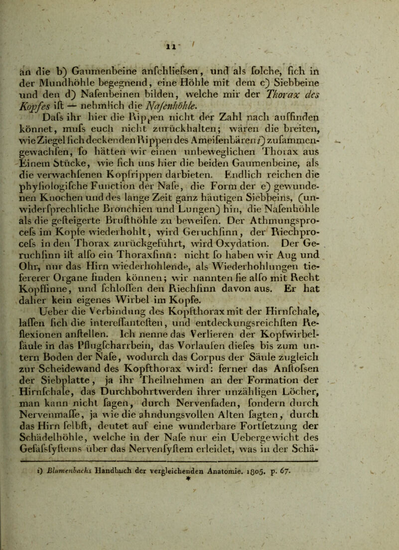 an die b) Gaumenbeine anfchliefsen, und als folche, lieh in der Mundhöhle begegnend, eine Höhle mit dem c} Siebbeine und den d) Nafenbeinen bilden, welche mir der Thoi~ctx des Kopfes ift — ne hm lieh die Kfafenhöhle. Dafs ihr hier die Rippen nicht der Zahl nach auffinden könnet, mufs euch nicht zurückhalten; wären die breiten, wie Ziegel lieh deckenden Rippen des Ameifenbaren i) zufammen- gewachfen, fo hatten wir einen unbeweglichen Thorax aus Einem Stücke, wie lieh uns hier die beiden Gaumenbeine, als die verwachfenen Kopfrippen darbieten. Endlich reichen die phyliologifche Function der Nafe, die Form der e) gewunde- nen Knochen und des lange Zeit ganz häutigen Siebbeins, (un- widei fprechliehe Bronchien und Lungen} hin, die Nafenhöhle als die gefteigerte Brulthöhie zu beweifen. Der Athmungspro- cefs im Kopte wiederhohlt, wird Geruchlinn, der Riechpro- cefs in den Thorax zurückgeführt, wird Oxydation. Der Ge- ruchlinn ilt alfo ein Thoraxfinn: nicht fo haben wir Aug und Ohr, nur das Hirn wiederhohlen de, als Wiederhohlungen tie- fererer Organe finden können; wir nannten He alfo mit Recht Kopflinne, und fchloffen den Riechlinn davon aus. Er hat daher kein eigenes Wirbel im Kopfe. Ueber die Verbindung des Kopfthorax mit der Hirnfchale, laffen lieh die interelTantelten, und entdeckungsreichlten Re- flexionen anftellen. Ich nenne das Verlieren der Kopfwirbel- fäule in das Pflugfcharrbein, das Vorlaufen diefes bis zum un- tern Boden der Nafe, wodurch das Corpus der Säule zugleich zur Scheidewand des Kopfthorax wird: ferner das Anftofsen der Siebplatte, ja ihr Theilnehmen an der Formation der Hirnfchale, das Durchbohrtwerden ihrer unzähligen Löcher, man kann nicht fagen, durch Nervenfaden, fondern durch Nervenmaffe, ja wie die ahndungsvollen Alten fagten , durch das Hirn felbft, deutet auf eine wunderbare Fortfetzung der Schädelhöhle, welche in der Nafe nur ein Uebergewicht des Gefafsfyliems über das Nervenfyltem erleidet, was in der Schä- i) Blumenbachs Handbuch der vergleichenden Anatomie. ißo5. P* ^7-