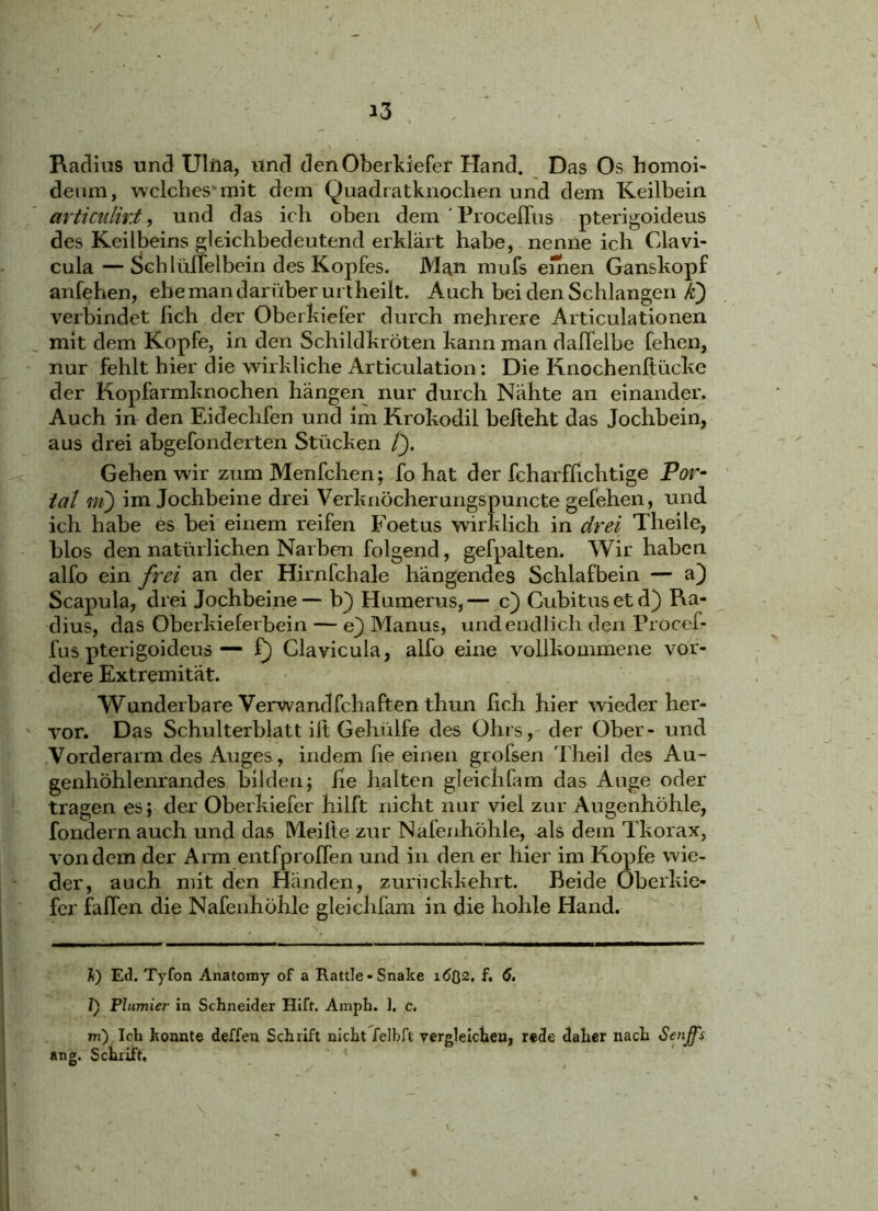 \ 13 : Radius und Ulna, und den Oberkiefer Hand. Das Os homoi- deum, wclchesmit dem Quadratknochen und dem Keilbein articulir.t, und das ich oben dem ' Proceffus pterigoideus des Keilbeins gleichbedeutend erklärt habe, nenne ich Clavi- cula—Sch lüffelbein des Kopfes. Man nrufs einen Ganskopf anfehen, ehe man darüber urtheilt. Auch bei den Schlangen k) verbindet ßch der Oberkiefer durch mehrere Articulationen mit dem Kopfe, in den Schildkröten kann man daffelbe fehen, nur fehlt hier die wirkliche Articulation: Die Knochenftücke der Kopfarmknochen hängen nur durch Nähte an einander. Auch in den Eidechfen und im Krokodil befteht das Jochbein, aus drei abgefonderten Stücken /). Gehen wir zum Menfchen; fo hat der fcharffichtige Por- tal m) im Jochbeine drei Verknöcherungspuncte gefehen, und ich habe es bei einem reifen Foetus wirklich in drei Theile, blos den natürlichen Narben folgend, gefpalten. Wir haben alfo ein frei an der Hirnfchale hängendes Schlafbein — aj Scapula, drei Jochbeine— b} Humerus,— c) Cubitusetd) Ra- dius, das Oberkieferbein — e) Manus, und endlich den Procef- fus pterigoideus — f) Clavicula, alfo eine vollkommene vor- dere Extremität. Wunderbare Verwandfchaften thun lieh hier wieder her- vor. Das Schulterblatt ilt Gehülfe des Ohrs, der Ober- und Vorderarm des Auges , indem he einen grofsen Theil des Au- genhöhlenrandes bilden; he halten gleichfam das Auge oder tragen es; der Oberkiefer hilft nicht nur viel zur Augenhöhle, fondern auch und das Meilte zur Nafenhöhle, als dem Tkorax, von dem der Arm entfproffen und in den er hier im Kopfe wie- der, auch mit den Händen, zurückkehrt. Beide Oberkie- fer fallen die Nafenhöhle gleichfam in die hohle Hand. h) Ed. Tyfon Anatomy of a Rattle-Snake 16Q2. f. 6. l') Plumier in Schneider Hift. Amph. 1. c. m) Ich konnte deffen Schrift nicht felbft vergleichen, rede daher nach Senfff ang. Schrift, *