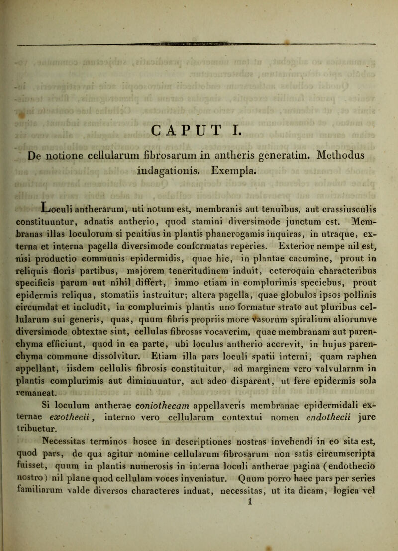 De notione cellularum fibrosarum in antlieris generatim. Methodus indagationis. Exempla. Loculi antherarum, uti notura est, membranis aut tenuibus, aut crassiusculis constituuntur, adnatis antherio, quod stamini diversimode junctum est. Mem- branas illas loculorum si penitius in plantis phanerogamis inquiras, in utraque, ex- terna et interna pagella diversimode conformatas reperies. Exterior nempe nil est, nisi productio communis epidermidis, quae hic, in plantae cacumine, prout in reliquis floris partibus, majorem teneritudinem induit, ceteroquin characteribus specificis parum aut nihil differt, immo etiam in complurimis speciebus, prout epidermis reliqua, stomatiis instruitur; altera pagella, quae globulos ipsos pollinis circumdat et includit, in complurimis plantis uno formatur strato aut pluribus cel- lularum sui generis, quas, quum fibris propriis more Vasorum spiralium aliorumve diversimode obtextae sint, cellulas fibrosas vocaverim, quae membranam aut paren- chyma efficiunt, quod in ea parte, ubi loculus antherio accrevit, in hujus paren- chyma commune dissolvitur. Etiam illa pars loculi spatii interni, quam raphen appellant, iisdem cellulis fibrosis constituitur, ad marginem vero valvularnm in plantis complurimis aut diminuuntur, aut adeo disparent, ut fere epidermis sola remaneat. Si loculum antherae coniothecam appellaveris membranae epidermidali ex- ternae exothecii, interno vero cellularum contextui nomen endothecii jure tribuetur. Necessitas terminos hosce in descriptiones nostras invehendi in eo sita est, quod pars, de qua agitur nomine cellularum fibrosarum non satis circumscripta fuisset, quum in plantis numerosis in interna loculi antherae pagina (endothecio nostro) nil plane quod cellulam voces inveniatur. Quum porro haec pars per series familiarum valde diversos characteres induat, necessitas, ut ita dicam, logica vel 1