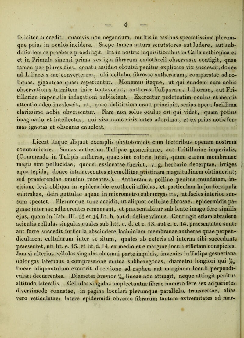 feliciter succedit, quamvis non negandum, multis in casibus spectatissima plerum- que prius in oculos incidere. Saepe tamen natura scrutatores aut ludere, aut sub- difficilem se praebere praediligit. Ita in nostris inquisitionibus in Calla aethiopica et et in Primula sinensi prima vestigia fibrarum endothecii observasse contigit, quae tamen per plures dies, conatu assiduo obtutui penitus explicare vix successit, donec ad Liliaceas me converterem, ubi cellulae fibrosae antherarum, comparatae ad re- liquas, giganteae quasi reperiuntur. Monemus itaque, ut qui eundem cum nobis observationis tramitem inire tentaverint, antheras Tuliparum, Liliorum, aut Fri- tillariae imperialis indagationi subjiciant. Exercetur pedetentim oculus et mentis attentio adeo invalescit, ut, quae abditissima erant principio, serius opera facillima clarissime nobis obversentur. Nam non solus oculus est qui videt, quam potius imaginatio et intellectus, qui visa nunc visis antea adordinat, et ex prius notis for- mas ignotas et obscuras enucleat. Liceat itaque aliquot exemplis phytotomicis cum lectoribus operam nostram communicare. Sumas antheram Tulipae gesnerianae, aut Fritillariae imperialis. (Commendo in Tulipis antheras, quae sint coloris lutei, quum earum membranae magis sint pellucidae; quodsi exsiccatae fuerint, v. g. herbario decerptae, irriges aqua tepida, donec intumescentes et emollitae pristinam magnitudinem obtinuerint; sed praeferendae omnino recentes.). Antheram a polline penitus mundatam, in- cisione levi obliqua in epidermide exothecii afficias, et particulam hujus forcipula subtrahas, dein guttulae aquae in micrometro submergas ita, ut facies interior sur- sum spectet. Plerumque tunc accidit, ut aliquot cellulae fibrosae, epidermidis pa- ginae internae adhaerentes remaneant, et praesentabitur sub lente imago fere similis ejus, quam in Tab. III. 13 et 14 lit. b. aut d. delineavimus. Contingit etiam abradere aciculis cellulas singulas quales sub litt. c. d. et e. 13. aut c. e. 14. praesentatae sunt; aut forte succedit forficula abscindere laciniolam membranae antherae quae perpen- dicularem cellularum inter se situm, quales ab exteris ad interna sibi succedunt,- praesentet, uti lit. e. 13. et lit. d. 14. ex medio et e margine loculi effictam conspicies. Jam si ulterius cellulas singulas ab omni parte inquiris, invenies inTulipa gesneriana oblongas lateribus a compressione mutua subhexagonas, diametro longiori qui %0 lineae aliquantulum excurrit directione ad raphen aut marginem loculi perpendi- culari decurrentes. Diameter brevior %0 lineae non attingit, neque attingit penitus altitudo lateralis. Cellulas singulas amplectuntur fibrae numero fere sex ad parietes diversimode connatae, in pagina loculari plerumque parallelae transversae, alias vero reticulatae; latere epidermidi obverso fibrarum tantum extremitates ad mar-