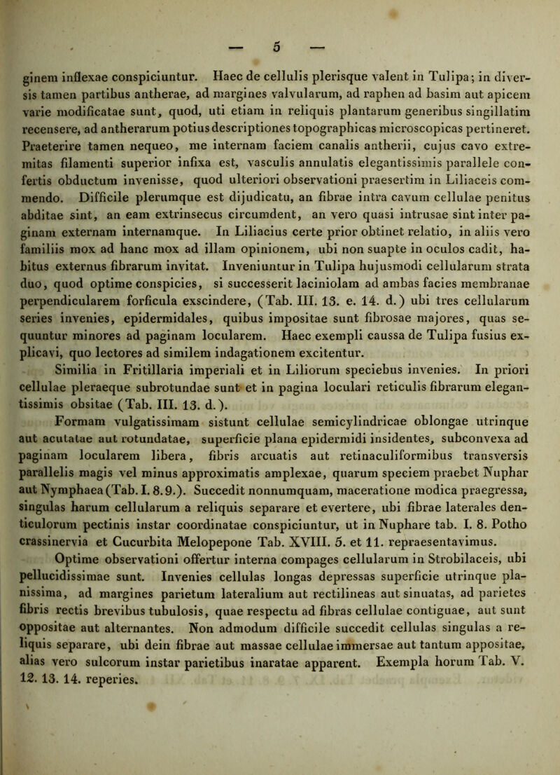 ginem inflexae conspiciuntur. Haec de cellulis plerisque valent in Tulipa; in diver- sis tamen partibus antherae, ad margines valvularum, ad raphen ad basim aut apicem varie modificatae sunt, quod, uti etiam in reliquis plantarum generibus singillatim recensere, ad antherarum potius descriptiones topographicas microscopicas pertineret. Praeterire tamen nequeo, me internam faciem canalis antherii, cujus cavo extre- mitas filamenti superior infixa est, vasculis annulatis elegantissimis parallele con- fertis obductum invenisse, quod ulteriori observationi praesertim in Liliaceis com- mendo. Difficile plerumque est dijudicatu, an fibrae intra cavum cellulae penitus abditae sint, an eam extrinsecus circumdent, an vero quasi intrusae sint inter pa- ginam externam internamque. In Liliacius certe prior obtinet relatio, in aliis vero familiis mox ad hanc mox ad illam opinionem, ubi non suapte in oculos cadit, ha- bitus externus fibrarum invitat. Inveniuntur in Tulipa hujusmodi cellularum strata duo, quod optime conspicies, si successerit laciniolam ad ambas facies membranae perpendicularem forficula exscindere, (Tab. III. 13. e. 14. d.) ubi tres cellularum series invenies, epidermidales, quibus impositae sunt fibrosae majores, quas se- quuntur minores ad paginam locularem. Haec exempli caussa de Tulipa fusius ex- plicavi, quo lectores ad similem indagationem excitentur. Similia in Fritillaria imperiali et in Liliorum speciebus invenies. In priori cellulae pleraeque subrotundae sunt et in pagina loculari reticulis fibrarum elegan- tissimis obsitae (Tab. III. 13. d.). Formam vulgatissimam sistunt cellulae semicylindricae oblongae utrinque aut acutatae aut rotundatae, superficie plana epidermidi insidentes, subconvexa ad paginam locularem libera, fibris arcuatis aut retinaculiformibus transversis parallelis magis vel minus approximatis amplexae, quarum speciem praebet Nuphar aut Nymphaea (Tab. I. 8.9.). Succedit nonnumquam, maceratione modica praegressa, singulas harum cellularum a reliquis separare et evertere, ubi fibrae laterales den- ticulorum pectinis instar coordinatae conspiciuntur, ut inNuphare tab. I. 8. Potho crassinervia et Cucurbita Melopepone Tab. XVIII. 5. et 11. repraesentavimus. Optime observationi offertur interna compages cellularum in Strobilaceis, ubi pellucidissimae sunt. Invenies cellulas longas depressas superficie utrinque pla- nissima, ad margines parietum lateralium aut rectilineas aut sinuatas, ad parietes fibris rectis brevibus tubulosis, quae respectu ad fibras cellulae contiguae, aut sunt oppositae aut alternantes. Non admodum difficile succedit cellulas singulas a re- liquis separare, ubi dein fibrae aut massae cellulae immersae aut tantum appositae, alias vero sulcorum instar parietibus inaratae apparent. Exempla horum Tab. V. 12. 13. 14. reperies.