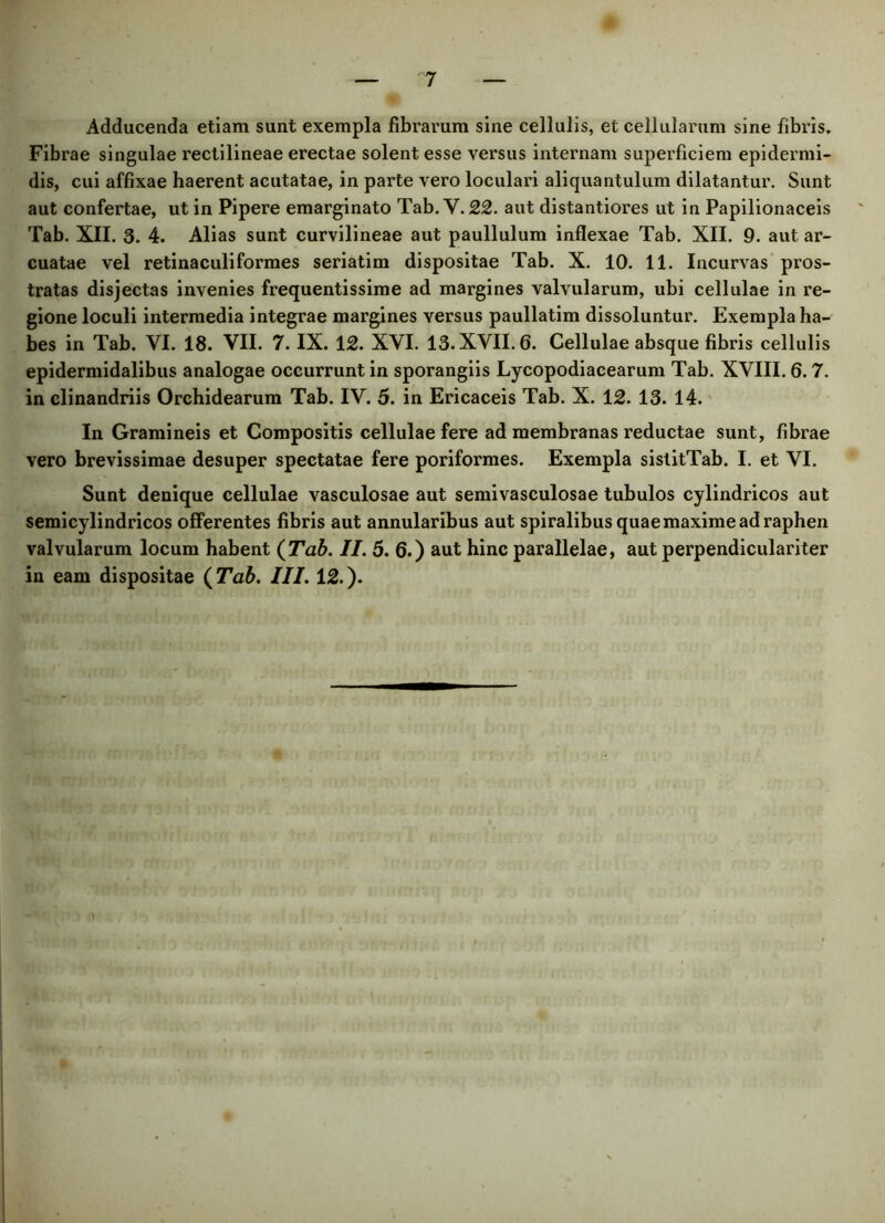 Adducenda etiam sunt exempla fibrarum sine cellulis, et cellularum sine fibris. Fibrae singulae rectilineae erectae solent esse versus internam superficiem epidermi- dis, cui affixae haerent acutatae, in parte vero loculari aliquantulum dilatantur. Sunt aut confertae, ut in Pipere emarginato Tab. V. 22. aut distantiores ut in Papilionaceis Tab. XII. 3. 4. Alias sunt curvilineae aut paullulum inflexae Tab. XII. 9. aut ar- cuatae vel retinaculiformes seriatim dispositae Tab. X. 10. 11. Incurvas pros- tratas disjectas invenies frequentissime ad margines valvularum, ubi cellulae in re- gione loculi intermedia integrae margines versus paullatim dissoluntur. Exempla ha- bes in Tab. VI. 18. VII. 7. IX. 12. XVI. 13. XVII. 6. Cellulae absque fibris cellulis epidermidalibus analogae occurrunt in sporangiis Lycopodiacearum Tab. XVIII. 6.7. in clinandriis Orchidearum Tab. IV. 5. in Ericaceis Tab. X. 12. 13. 14. In Gramineis et Compositis cellulae fere ad membranas reductae sunt, fibrae vero brevissimae desuper spectatae fere poriformes. Exempla sistitTab. I. et VI. Sunt denique cellulae vasculosae aut semivasculosae tubulos cylindricos aut semieylindricos offerentes fibris aut annularibus aut spiralibus quaemaxime ad raphen valvularum locum habent (Tab. II. 5. 6.) aut hinc parallelae, aut perpendiculariter in eam dispositae (Tab. III. 12.).