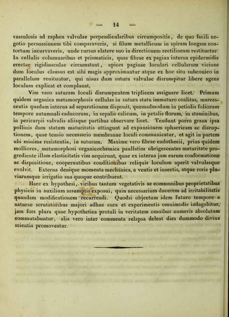 vasculosis ad raphen valvulae perpendicularibus circumpositis, de quo facili ne- gotio persuasionem tibi comparaveris, si filum metallicum in spiram longam con- tortum incurvaveris, unde rursus elatere suo in directionem rectilineam restituetur. In cellulis columnaribus et prismaticis, quas fibrae ex pagina interna epidermidis erectae rigidiusculae circumstant, apices paginae loculari cellularum vicinae dum loculus clausus est sibi magis approximantur atque ex hoc situ subconico in parallelum renituntur, qui nisus dum sutura valvulae disrumpitur libere agens loculum explicat et complanat. Vim vero suturam loculi disrumpentem triplicem assignare licet. Primum quidem organica metamorphosis cellulas in sutura statu immaturo coalitas, marces- centia quadam interna ad separationem disponit, quemadmodum in petiolis foliorum tempore autumnali caducorum, in sepalis calicum, in petalis florum, in staminibus, in pericarpii valvulis aliisque partibus observare licet. Tendunt porro grana ipsa pollinis dum statum maturitatis attingunt ad expansionem sphaericam ac disrup- tionem, quae tensio necessario membranae loculi communicatur, et agit in partem ubi minima resistentia, in suturam. Maxime vero fibrae endothecii, prius quidem molliores, metamorphosi organicochemica paullatim obrigescentes maturitate pro- grediente illam elasticitatis vim acquirunt, quae ex interna jam earum conformatione ac dispositione, cooperantibus conditionibus reliquis loculum aperit valvulasque evolvit. Externa denique momenta mechanica, a ventis et insectis, atque roris plu- viarumque irrigatio sua quoque contribuent. Haec ex hypothesi, viribus tantum vegetativis ac communibus proprietatibus physicis in auxilium assumptis exposui, quin necessarium ducerem ad irritabilitatis quandam modificationem recurrendi. Quodsi objectum idem futuro tempore a naturae scrutatoribus majori adhuc cura et experimentis omnimodis indagabitur, jam fors plura quae hypothetica protuli in veritatem omnibus numeris absolutam commutabuntur, alia vero inter commenta relapsa deleat dies dummodo divina scientia promoveatur.