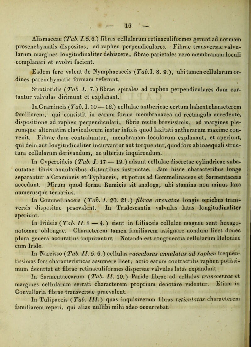 Alismaceae (Tab. /.5.6.) fibras cellularum retinaculiformes gerunt ad normam prosenchymatis dispositas, ad raphen perpendiculares. Fibrae transversae valvu- larum margines longitudinaliter dehiscere, fibrae parietales vero membranam loculi complanari et evolvi facient. Eadem fere valent de Nymphaeaceis (Tab. I. 8. 9.), ubi tamen cellularum or- dines parenchymatis formam referunt. Stratiotidis (Tab. I. 7.) fibrae spirales ad raphen perpendiculares dum cur- tantur valvulas dirimunt et explanant. InGramineis (Tab. I. 10 —16.) cellulae anthericae certum habent characterem familiarem, qui consistit in earum forma membranacea ad rectangula accedente, dispositione ad raphen perpendiculari, fibris i-ectis brevissimis, ad margines ple- rumque alternatim claviculorum instar infixis quod laxitati antherarum maxime con- venit. Fibrae dum contrahuntur, membranam loculorum explanant, et aperiunt, qui dein aut longitudinaliter incurvantur aut torquentur, quod fors ab inaequali struc- tura cellularum derivandum, ac ulterius inquirendum. In Cyperoideis (Tab. I. 17 — 19.) adsunt cellulae discretae cylindricae suba- cutatae fibris annularibus distantibus instructae. Jam hisce characteribus longe separantur a Gramineis etTyphaceis, et potius ad Commelinaceas et Sarmentaceas accedunt. Mirum quod forma Rumicis sit analoga, ubi stamina non minus laxa numerusque ternarius. In Commelinaceis (Tab. I. 20. 21.) fibrae arcuatae longis seriebus trans- versis dispositae praevalent. In Tradescantia valvulas latas longitudinaliter aperiunt. In Irideis (Tab. II. 1 —4.) sicut in Liliaceis cellulae magnae sunt hexago- notomae oblongae. Characterem tamen familiarem assignare nondum licet donec plura genera accuratius inquirantur. Notanda est congruentia cellularum Heloniae cum Iride. In Narcisso (Tab. II. 5. 6.) cellulas vasculosas annulatas ad raphen frequen- tissimas fors characteristicas assumere licet; actio earum contractilis raphen potissi- mum decurtat et fibrae retinaculiformes dispersae valvulas latas expandunt. In Sarmentacearum (Tab. II. 10.) Paride fibrae ad cellulas transversae et margines cellularum serrati characterem proprium denotare videntur. Etiam in Convallaria fibrae transversae praevalent. In Tulipaceis (Tab. III.) quas inquisiveram fibras reticulatas characterem familiarem reperi, qui alias nullibi mihi adeo occurrebat. «