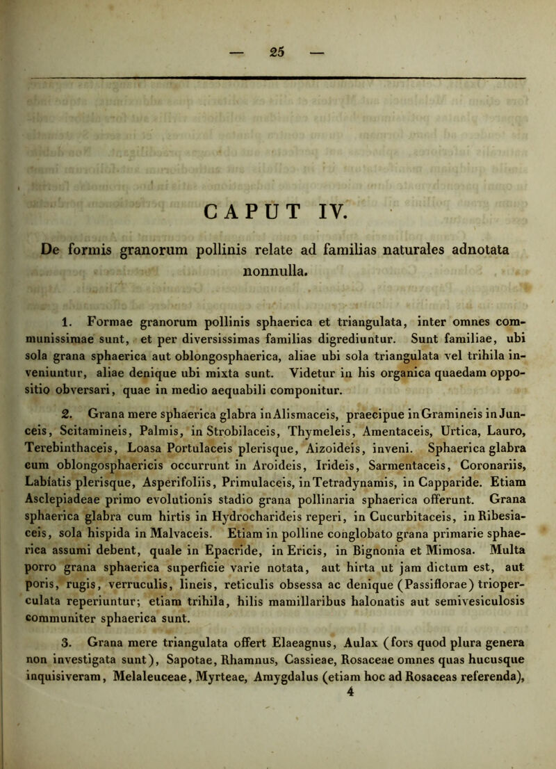 CAPUT IV. De formis granorum pollinis relate ad familias naturales adnotata nonnulla. 1. Formae granorum pollinis sphaerica et triangulata, inter omnes com- munissimae sunt, et per diversissimas familias digrediuntur. Sunt familiae, ubi sola grana sphaerica aut oblongosphaerica, aliae ubi sola triangulata vel trihila in- veniuntur, aliae denique ubi mixta sunt. Videtur in his organica quaedam oppo- sitio obversari, quae in medio aequabili componitur. 2. Grana mere sphaerica glabra inAlismaceis, praecipue in Gramineis in Jun- ceis, Scitamineis, Palmis, in Strobilaceis, Thymeleis, Amentaceis, Urtica, Lauro, Terebinthaceis, Loasa Portulaceis plerisque, Aizoideis, inveni. Sphaerica glabra cum oblongosphaericis occurrunt in Aroideis, Irideis, Sarmentaceis, Coronariis, Labiatis plerisque, Asperifoliis, Primulaceis, inTetradynamis, in Capparide. Etiam Asclepiadeae primo evolutionis stadio grana pollinaria sphaerica offerunt. Grana sphaerica glabra cum hirtis in Hydrocharideis reperi, in Cucurbitaceis, inRibesia- ceis, sola hispida in Malvaceis. Etiam in polline conglobato grana primarie sphae- rica assumi debent, quale in Epacride, inEricis, in Bignonia et Mimosa. Multa porro grana sphaerica superficie varie notata, aut hirta ut jam dictum est, aut poris, rugis, verruculis, lineis, reticulis obsessa ac denique (Passiflorae) trioper- culata reperiuntur; etiam trihila, hilis mamillaribus halonatis aut semivesiculosis communiter sphaerica sunt. 3. Grana mere triangulata offert Elaeagnus, Aulax (fors quod plura genera non investigata sunt), Sapotae, Rhamnus, Cassieae, Rosaceae omnes quas hucusque inquisiveram, Melaleuceae, Myrteae, Amygdalus (etiam hoc ad Rosaceas referenda), 4