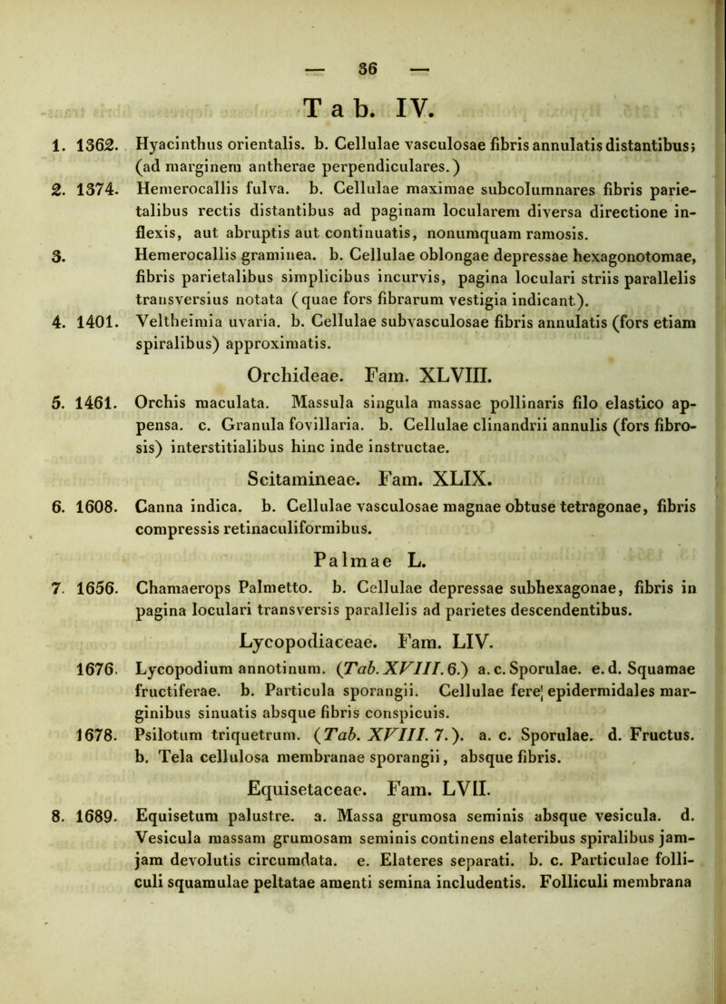 Tab. IV. 1. 1362. Hyacinthus orientalis, b. Cellulae vasculosae fibris annulatis distantibus; (ad marginem antherae perpendiculares.) 2. 1374. Hemerocallis fulva, b. Cellulae maximae subcolumnares fibris parie- talibus rectis distantibus ad paginam locularem diversa directione in- flexis, aut abruptis aut continuatis, nonumquam ramosis. 3. Hemerocallis graminea, b. Cellulae oblongae depressae hexagonotomae, fibris parietalibus simplicibus incurvis, pagina loculari striis parallelis transversius notata (quae fors fibrarum vestigia indicant). 4. 1401. Veltheimia uvaria. b. Cellulae subvasculosae fibris annulatis (fors etiam spiralibus) approximatis. Orchideae. Fam. XLVIII. 5. 1461. Orchis maculata. Massula singula massae pollinaris filo elastico ap- pensa. c. Granula fovillaria. b. Cellulae clinandrii annulis (fors fibro- sis) interstitialibus hinc inde instructae. Scitamineae. Fam. XLIX. 6. 1608. Canna indica, b. Cellulae vasculosae magnae obtuse tetragonae, fibris compressis retinaculiformibus. Palmae L. 7. 1656. Chamaerops Palmetto. b. Cellulae depressae subhexagonae, fibris in pagina loculari transversis parallelis ad parietes descendentibus. Lycopodiaceae. Fam. LIV. 1676. Lycopodium annotinum. (Tab. XVII1.6.} a. c. Sporulae. e. d. Squamae fructiferae, b. Particula sporangii. Cellulae fere] epidermidales mar- ginibus sinuatis absque fibris conspicuis. 1678. Psilotum triquetrum. (Tab. XVIII. 7.). a. c. Sporulae. d. Fructus, b. Tela cellulosa membranae sporangii, absque fibris. Equisetaceae. Fam. LVII. 8. 1689. Equisetum palustre, a. Massa grumosa seminis absque vesicula, d. Vesicula massam grumosam seminis continens elateribus spiralibus jam- jam devolutis circumdata, e. Elateres separati, b. c. Particulae folli- culi squamulae peltatae amenti semina includentis. Folliculi membrana