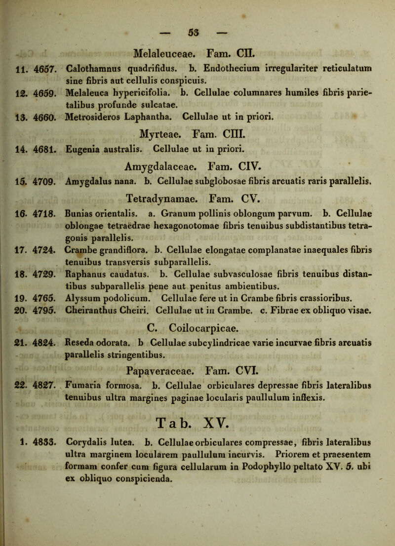 11. 4657. 12. 4659. 13. 4660. 14. 4681. 15. 4709. 16. 4718. 17. 4724. 18. 4729. 19. 4765. 20. 4795. 21. 4824. 22. 4827. 1. 4833. Melaleuceae. Fam. CII. Calotharanus quadrifidus, b. Endothecium irregulariter reticulatum sine fibris aut cellulis conspicuis. Melaleuca hypericifolia. b. Cellulae columnares humiles fibris parie- talibus profunde sulcatae. Metrosideros Laphantha. Cellulae ut in priori. Myrteae. Fam. CIII. Eugenia australis. Cellulae ut in priori. Amygdalaceae. Fam. CIV. Amygdalus nana. b. Cellulae subglobosae fibris arcuatis raris parallelis. Tetradynamae. Fam. CV. Bunias orientalis, a. Granum pollinis oblongum parvum, b. Cellulae oblongae tetraedrae hexagonotomae fibris tenuibus subdistantibus tetra- gonis parallelis. Crambe grandiflora. b. Cellulae elongatae complanatae inaequales fibris tenuibus transversis subparallelis. Raphanus caudatus, b. Cellulae subvasculosae fibris tenuibus distan- tibus subparallelis pene aut penitus ambientibus. Alyssum podolicum. Cellulae fere ut in Crambe fibris crassioribus. Cheiranthus Cheiri. Cellulae ut in Crambe, c. Fibrae ex obliquo visae. C. Coilocarpicae. Reseda odorata, b Cellulae subcylindricae varie incurvae fibris arcuatis parallelis stringentibus. Papaveraceae. Fam. CVI. Fumaria formosa, b. Cellulae orbiculares depressae fibris lateralibus tenuibus ultra margines paginae locularis paullulum inflexis. Tab. XV. Corydalis lutea, b. Cellulae orbiculares compressae, fibris lateralibus ultra marginem locularem paullulum incurvis. Priorem et praesentem formam confer cum figura cellularum in Podophyllo peltato XV. 5. ubi ex obliquo conspicienda.